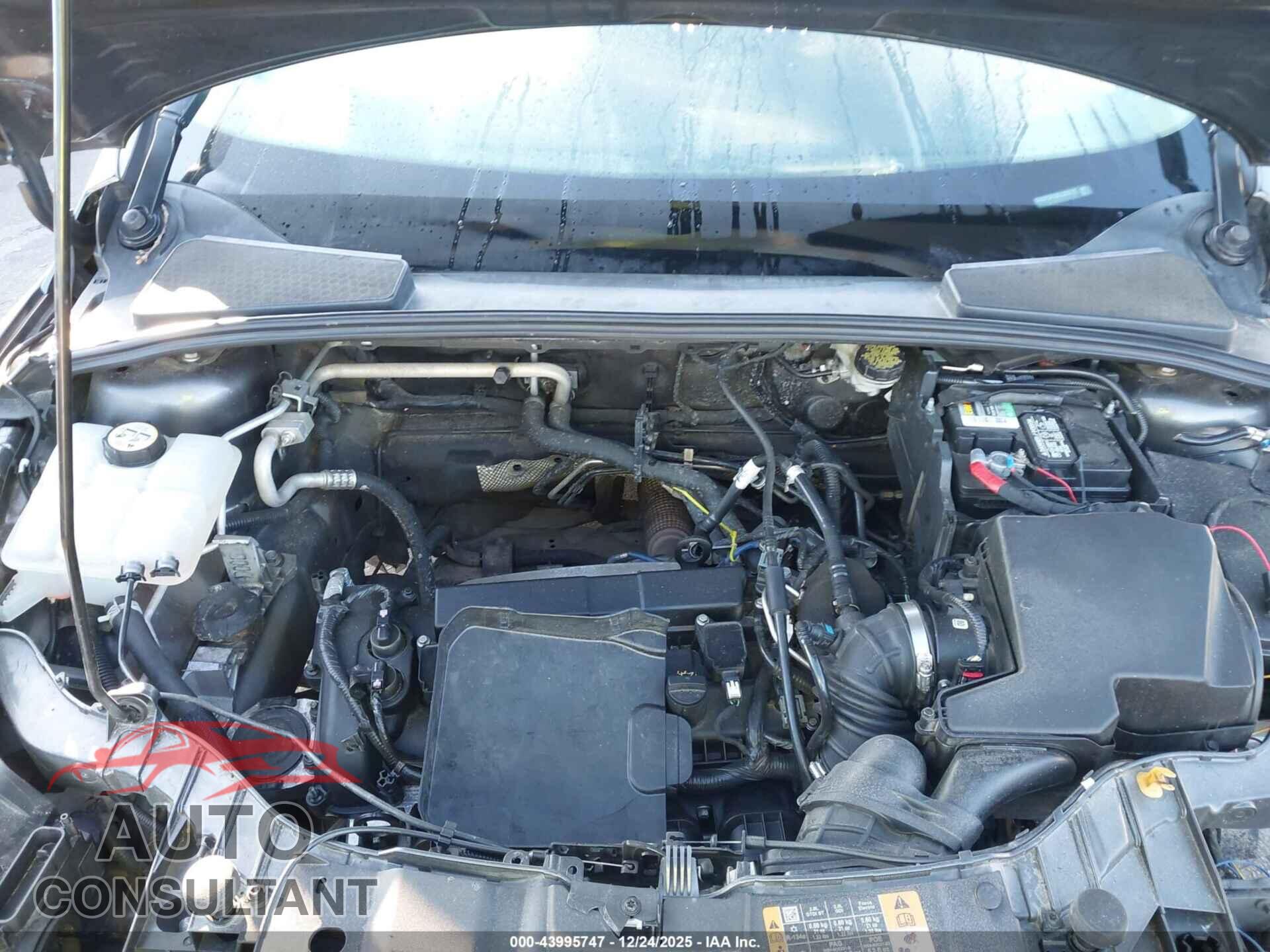 FORD FOCUS 2016 - 1FADP3F23GL283712