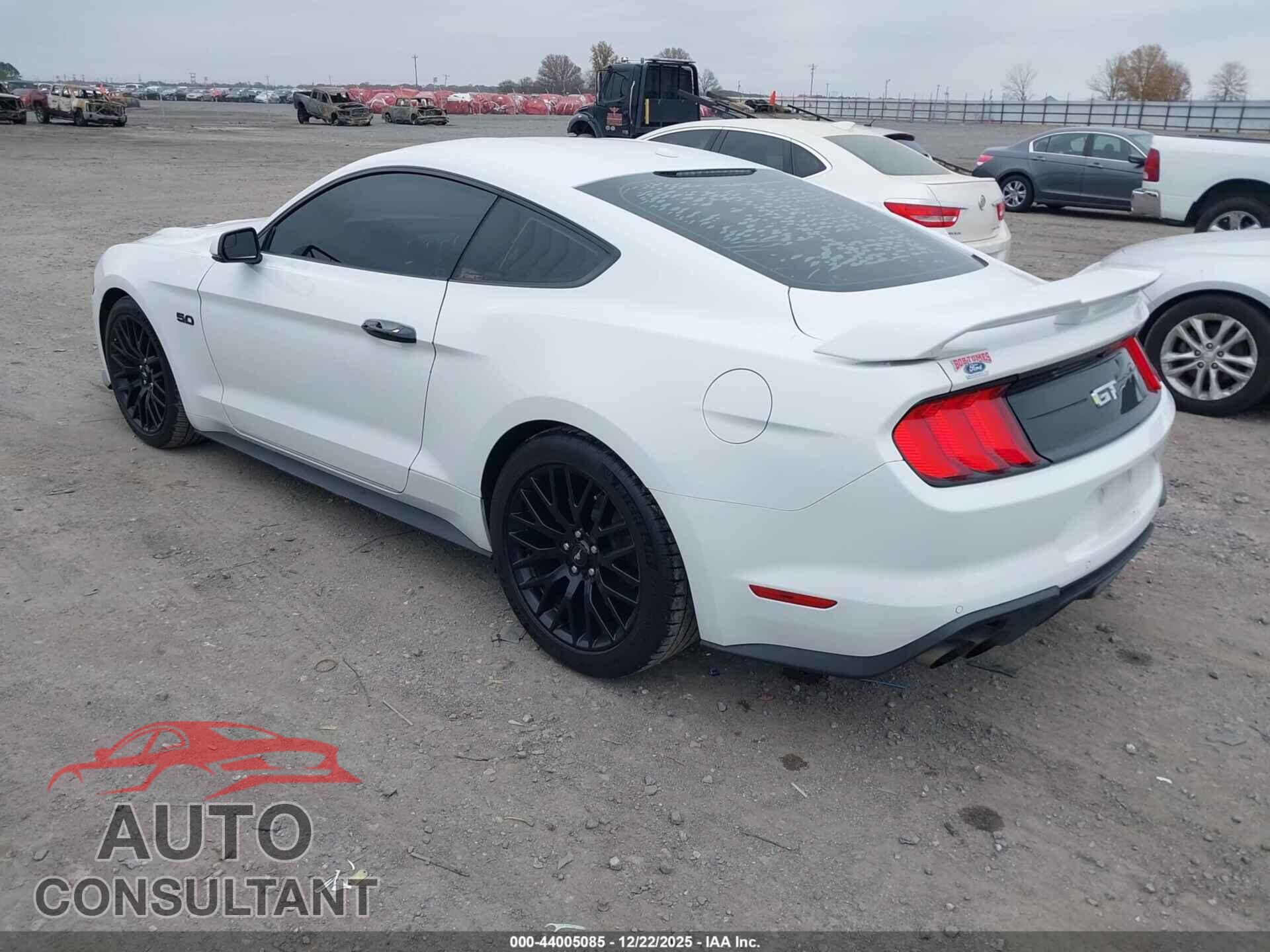 FORD MUSTANG 2019 - 1FA6P8CF8K5122962