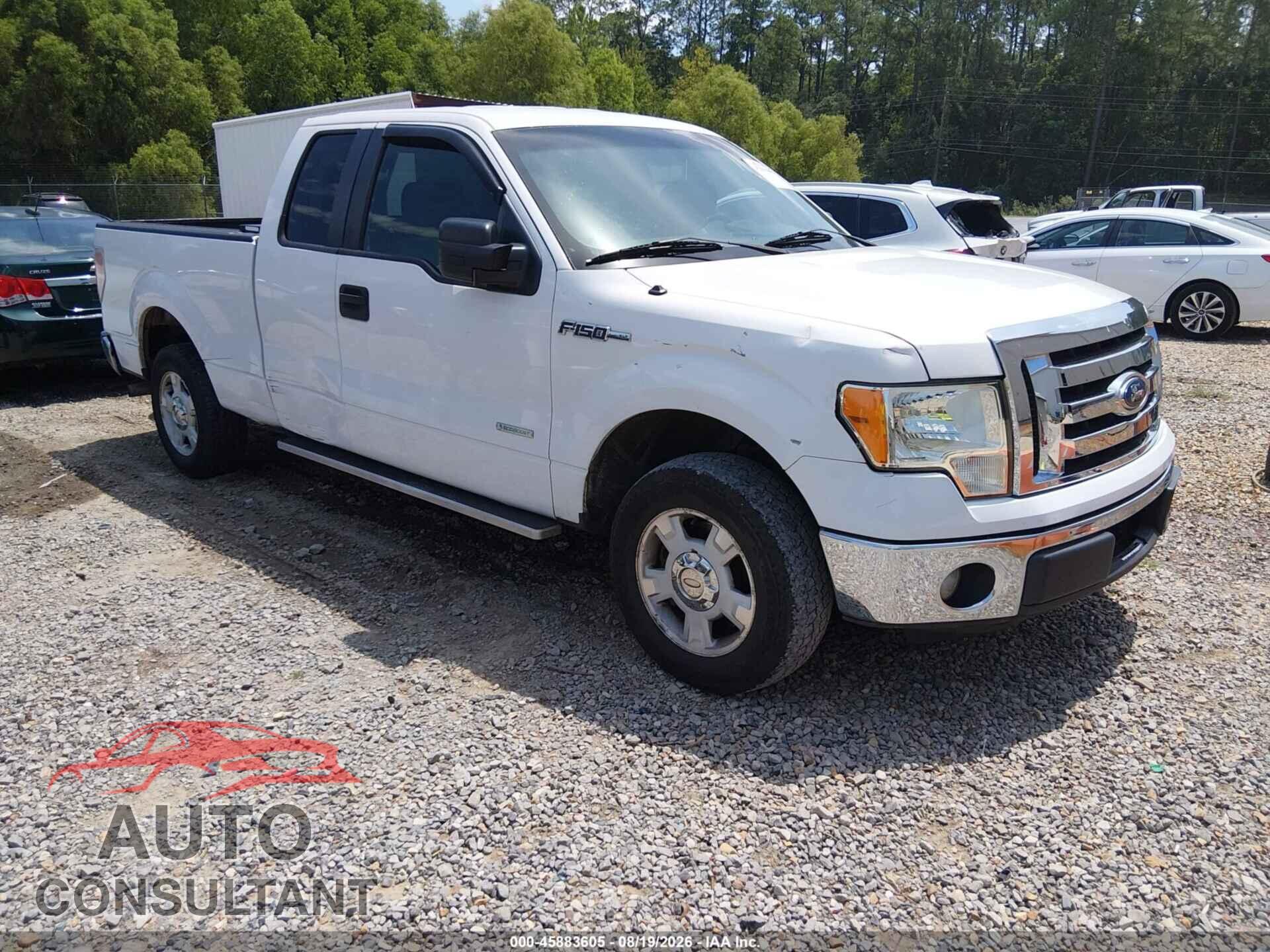 FORD F-150 2012 - 1FTFX1CT2CFD07155
