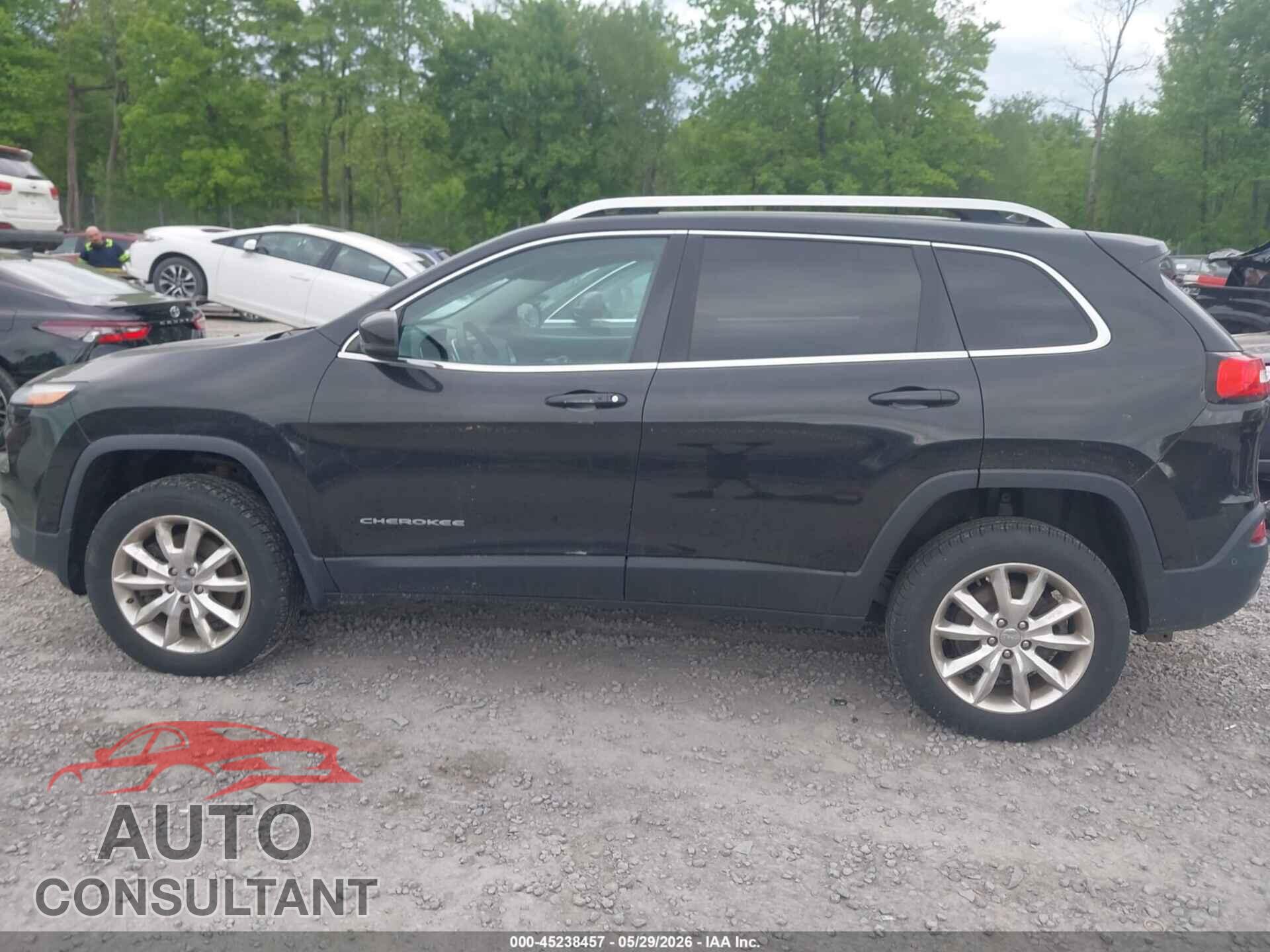JEEP CHEROKEE 2014 - 1C4PJMDB2EW300304