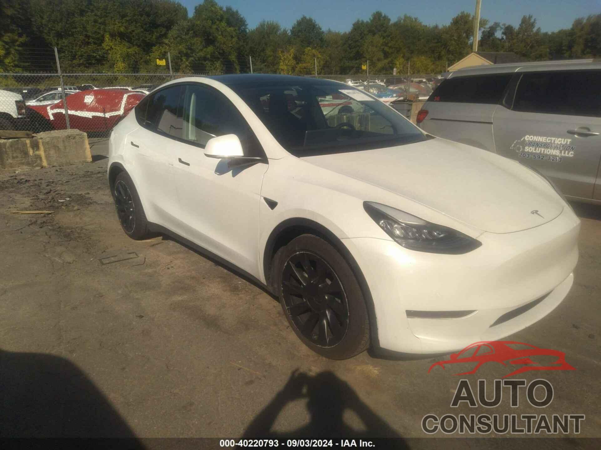 TESLA MODEL Y 2021 - 5YJYGDEE3MF074451