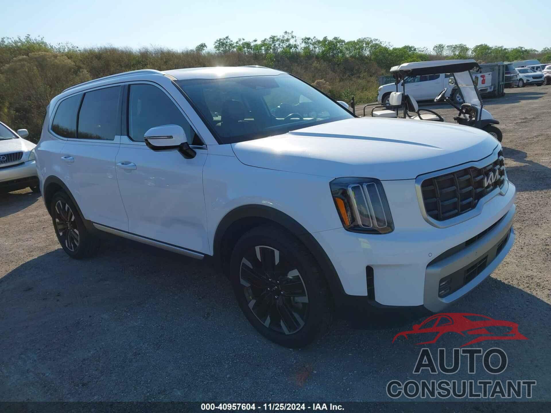 KIA TELLURIDE 2024 - 5XYP5DGC6RG415676