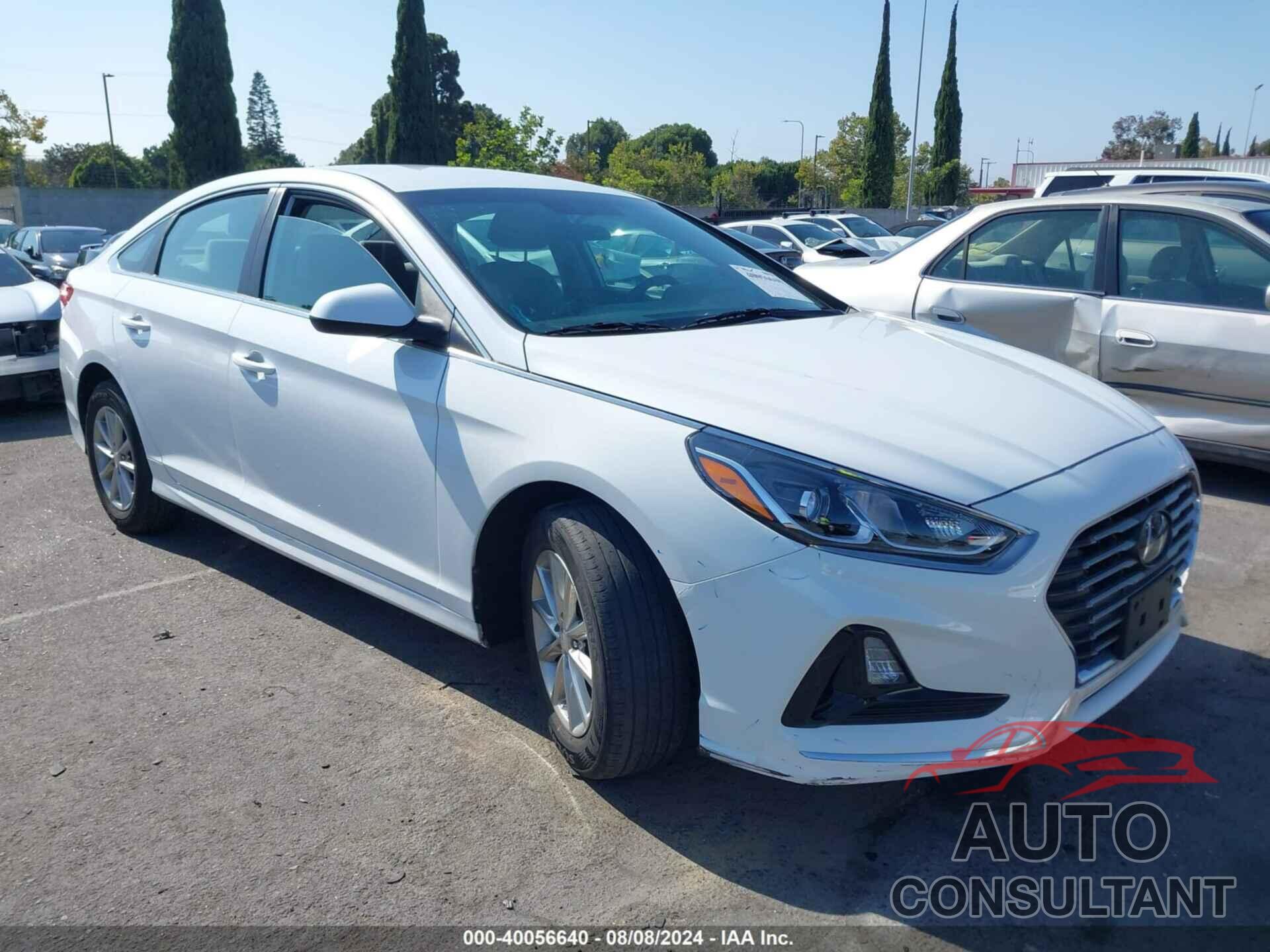 HYUNDAI SONATA 2019 - 5NPE24AF0KH753477