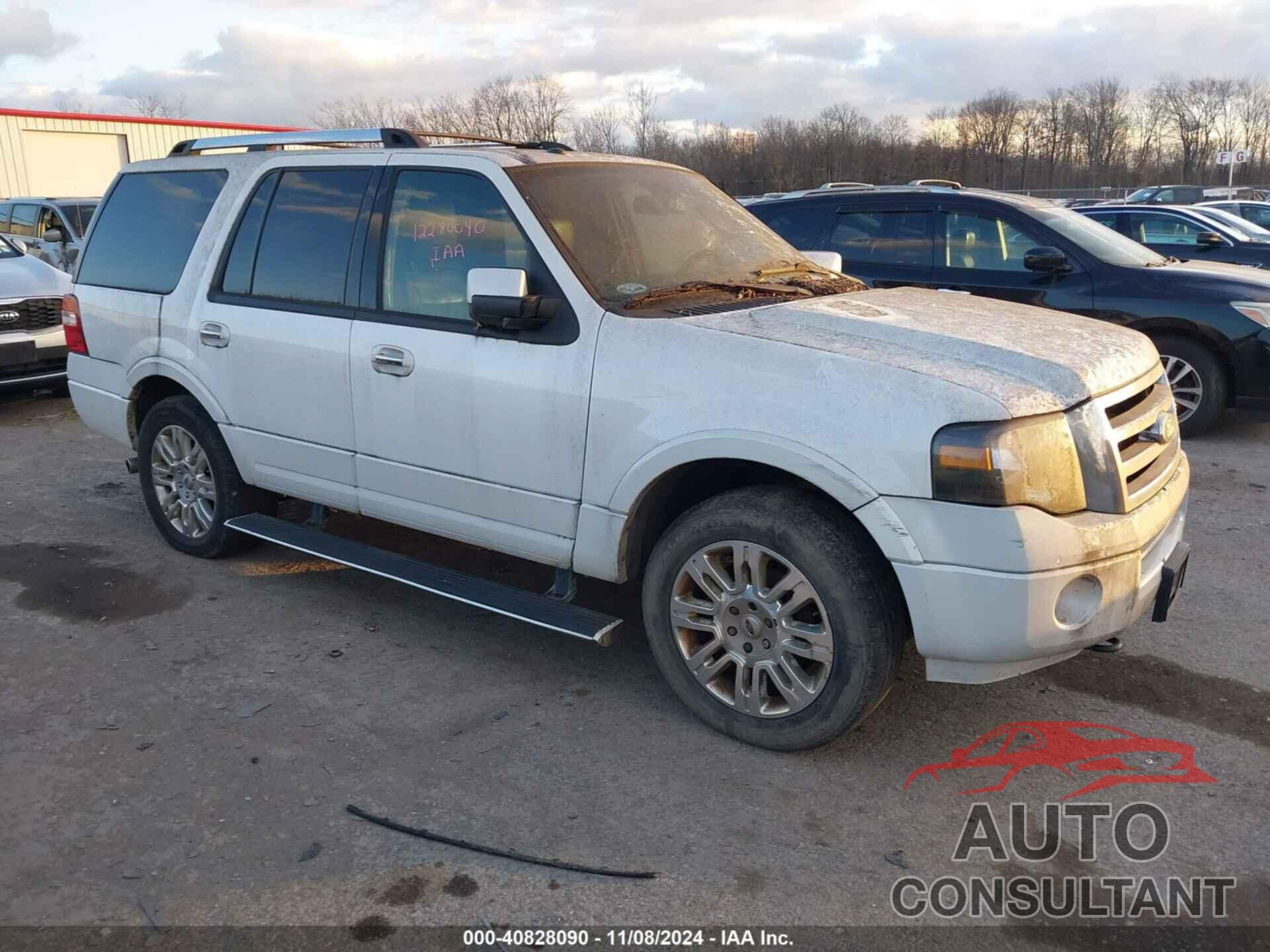 FORD EXPEDITION 2014 - 1FMJU2A54EEF10355