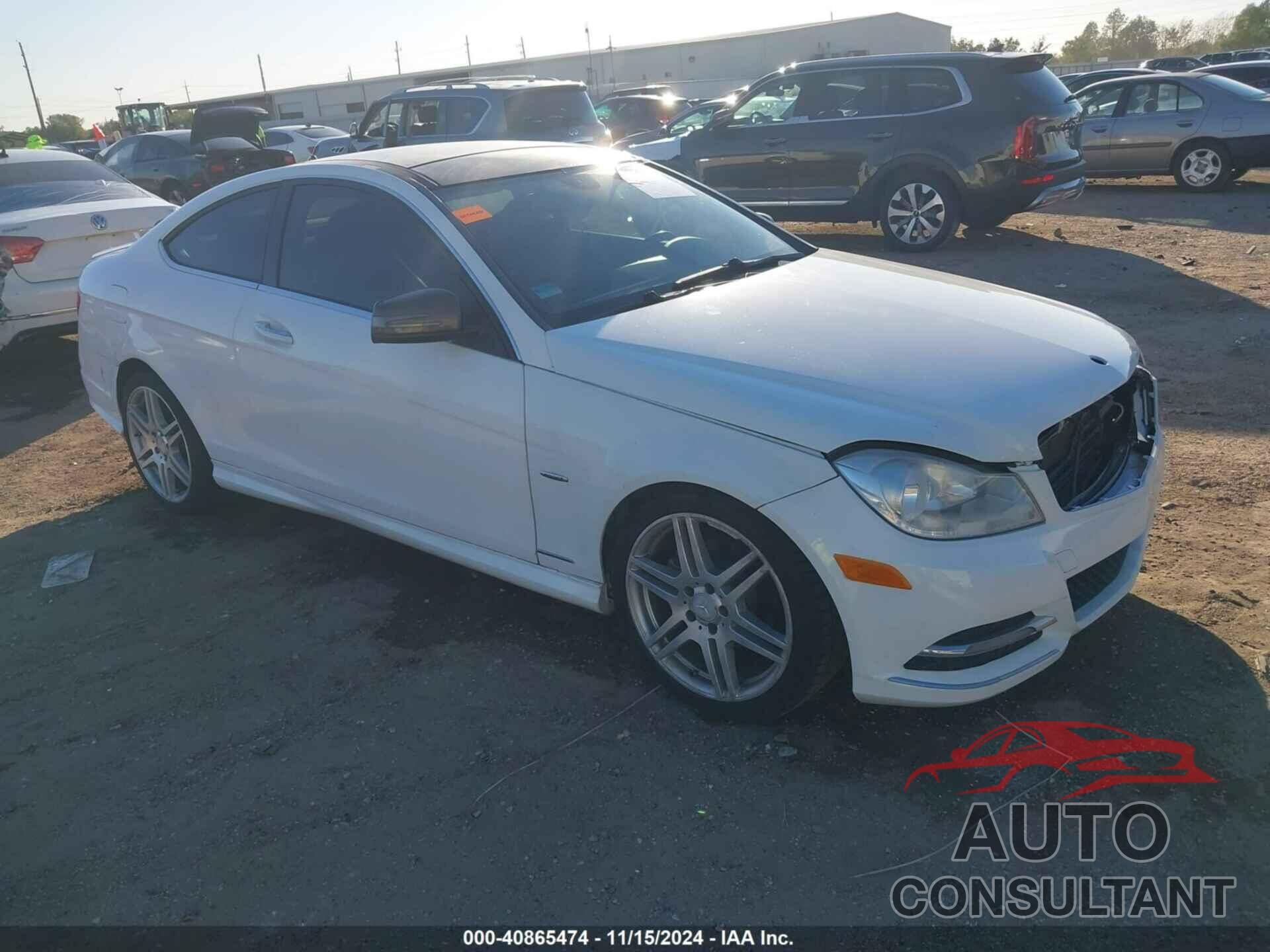 MERCEDES-BENZ C 250 2013 - WDDGJ4HB1DF990786