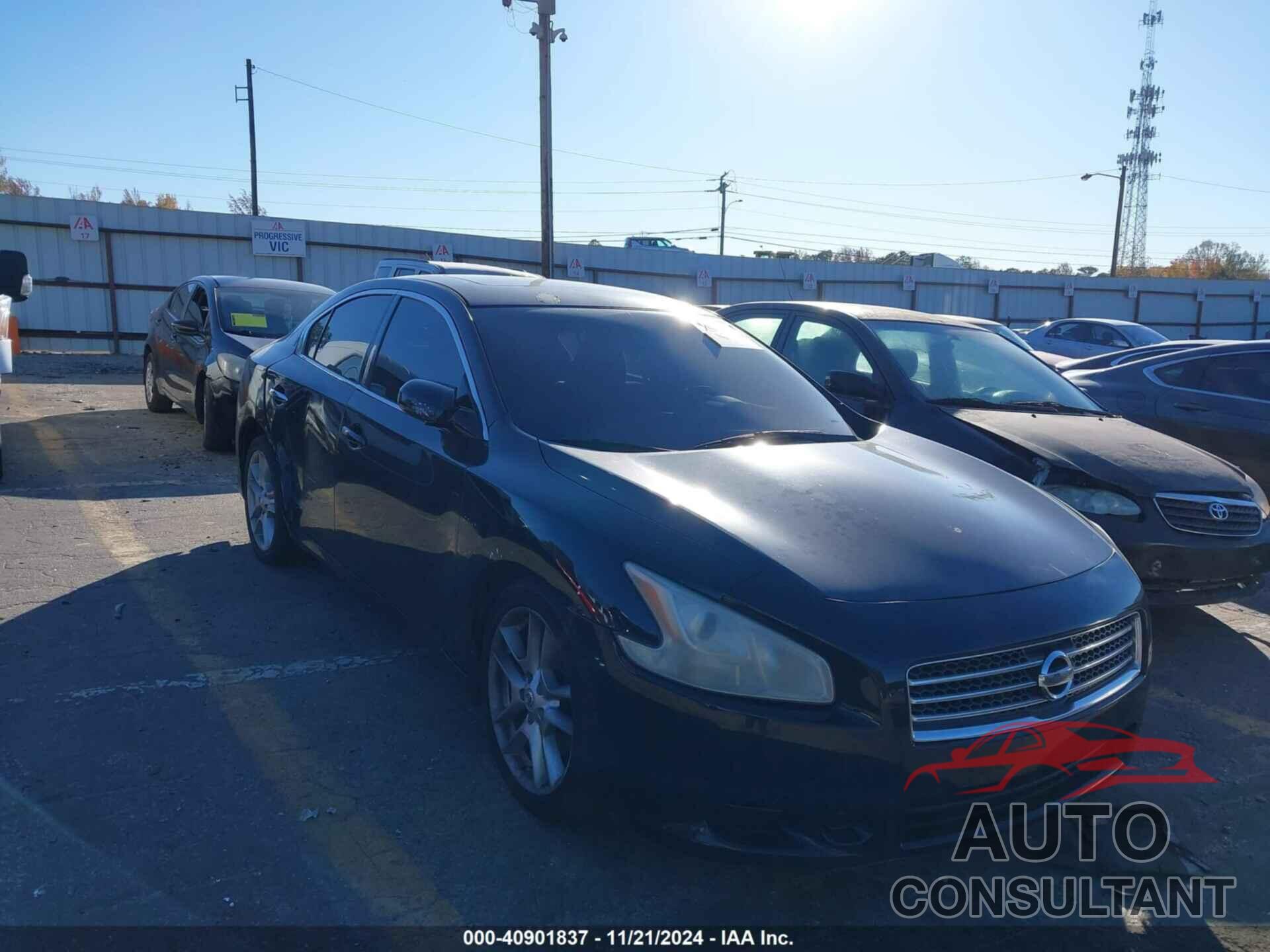 NISSAN MAXIMA 2009 - 1N4AA51E59C855299