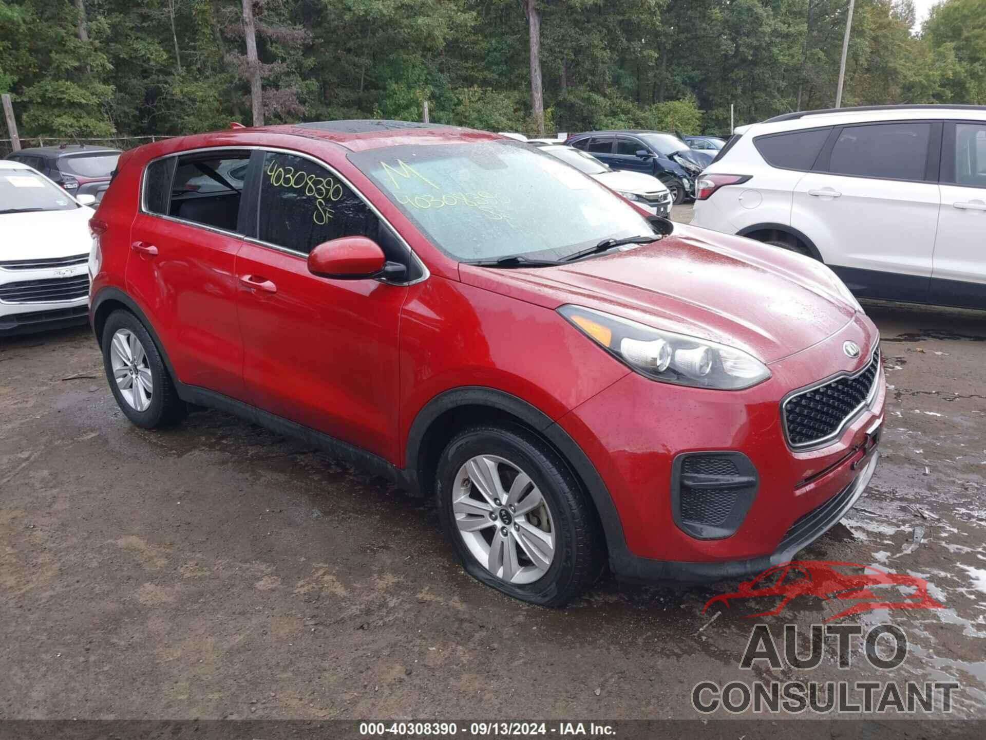 KIA SPORTAGE 2017 - KNDPM3AC8H7038270