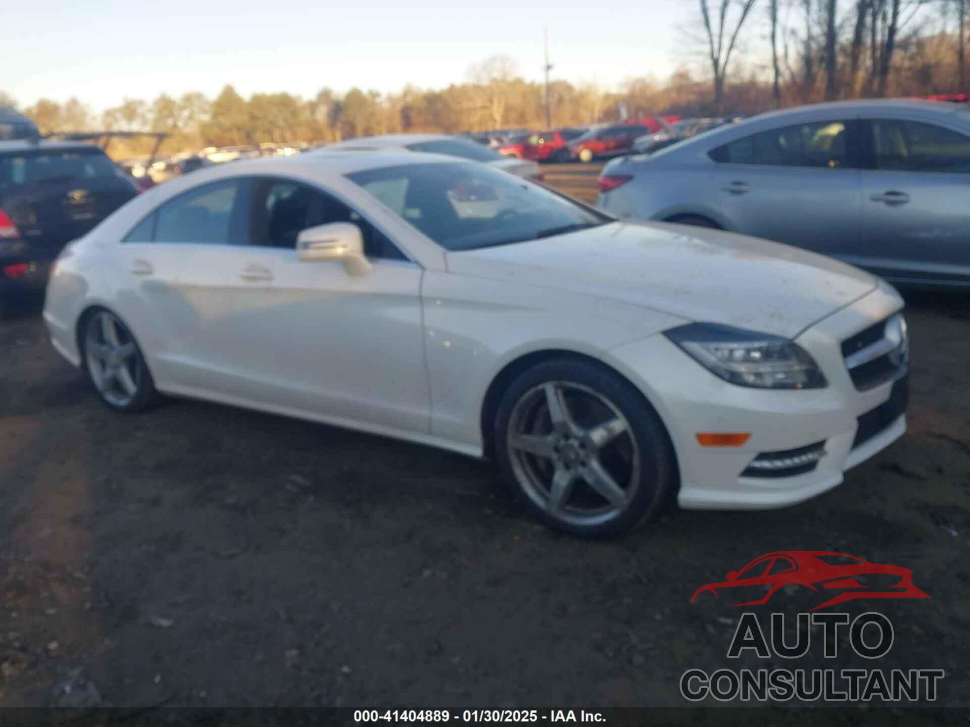 MERCEDES-BENZ CLS 550 2013 - WDDLJ9BB0DA059813