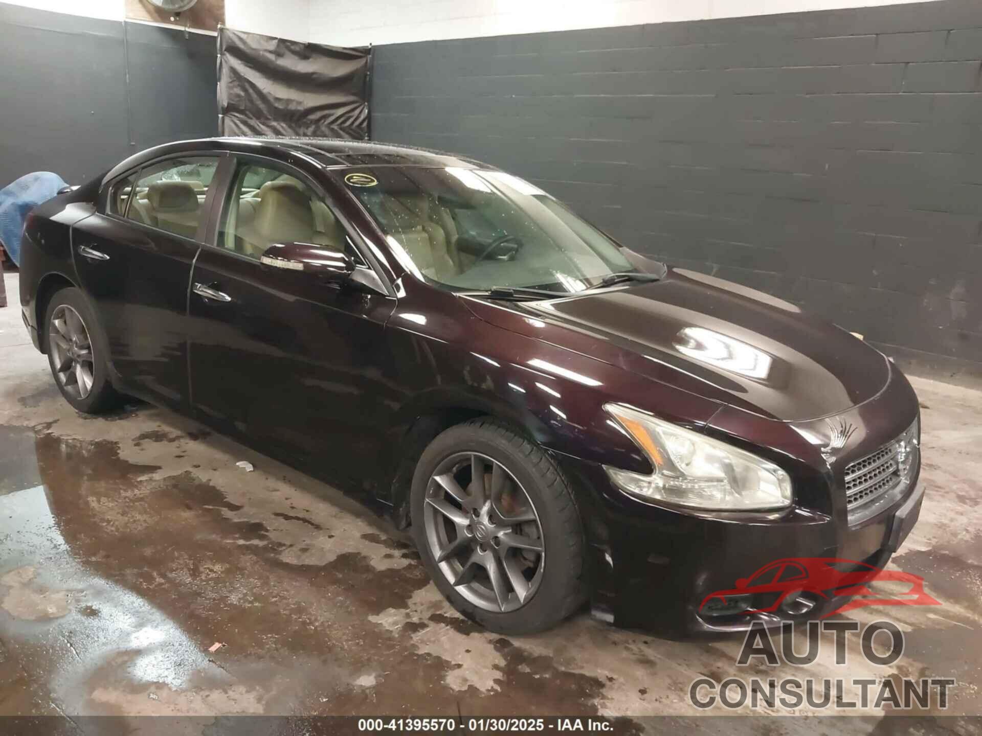 NISSAN MAXIMA 2011 - 1N4AA5AP2BC811493