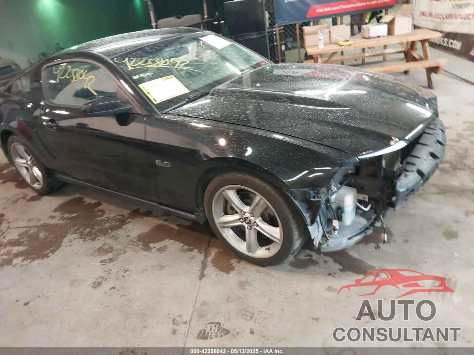 FORD MUSTANG 2012 - 1ZVBP8CF0C5263287