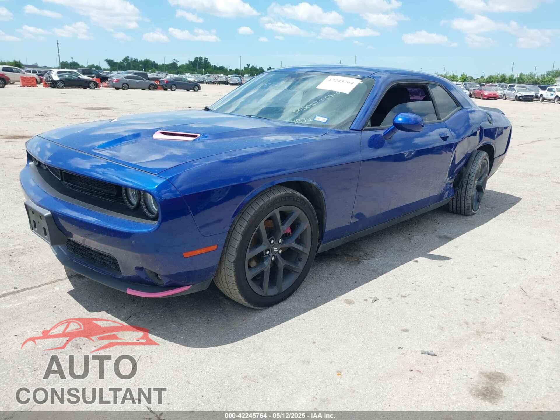 DODGE CHALLENGER 2019 - 2C3CDZAG9KH574892