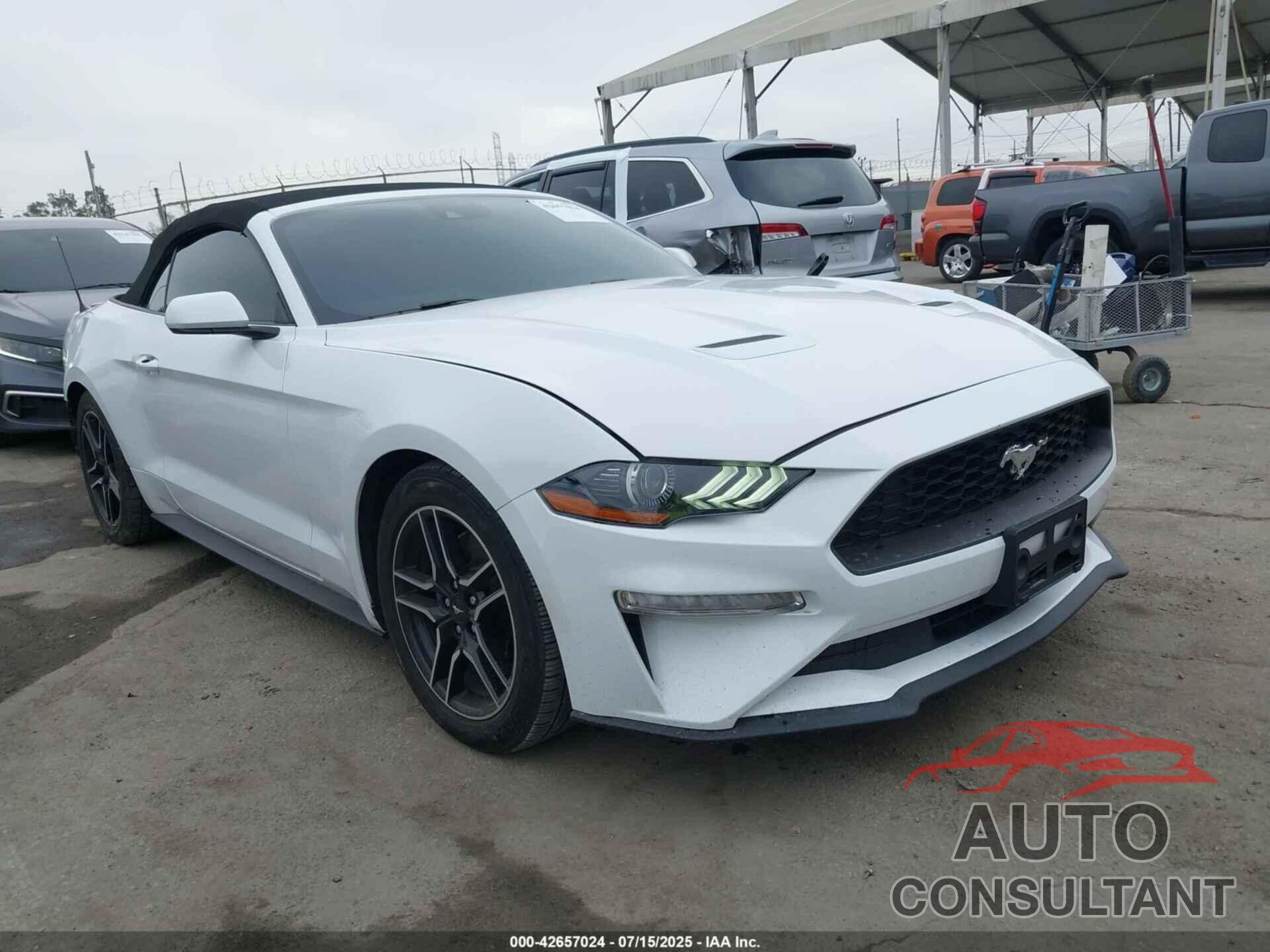 FORD MUSTANG 2022 - 1FATP8UH9N5119995