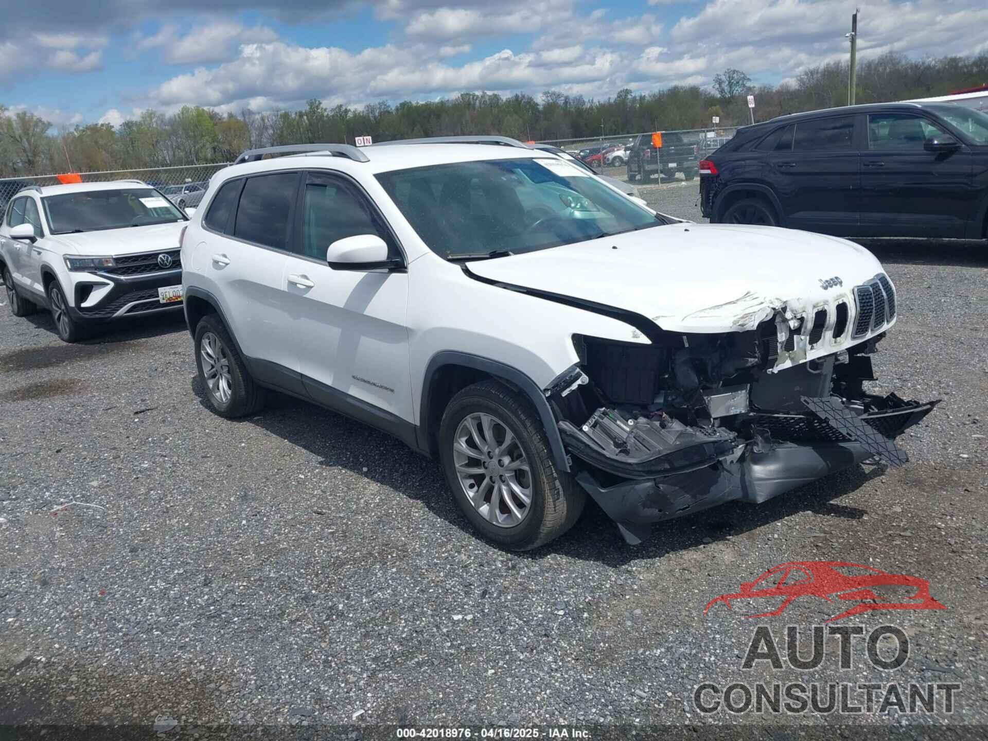 JEEP CHEROKEE 2019 - 1C4PJLCB4KD366405