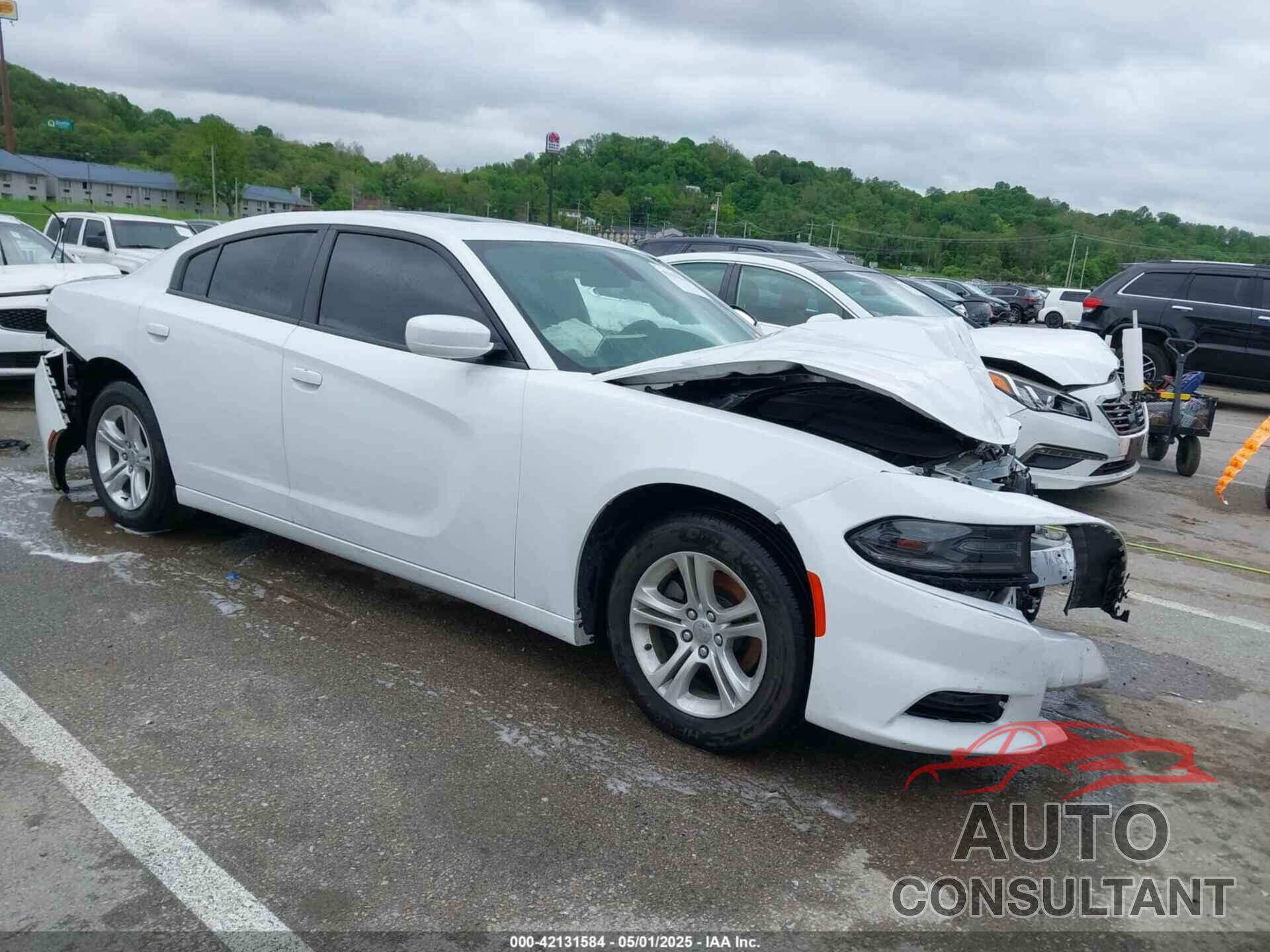 DODGE CHARGER 2019 - 2C3CDXBG7KH710181