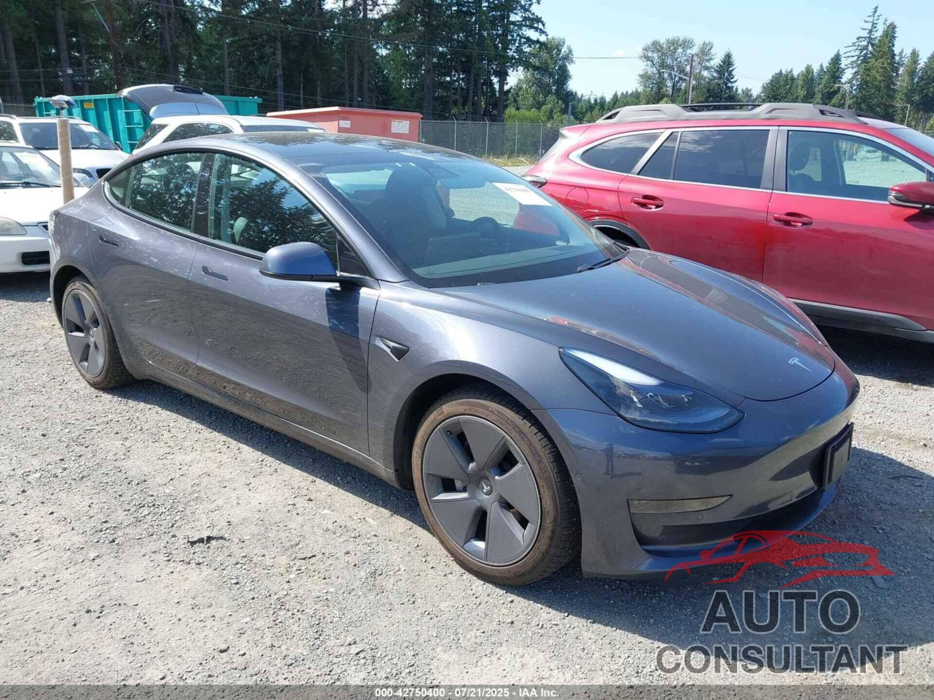 TESLA MODEL 3 2021 - 5YJ3E1EA3MF986847