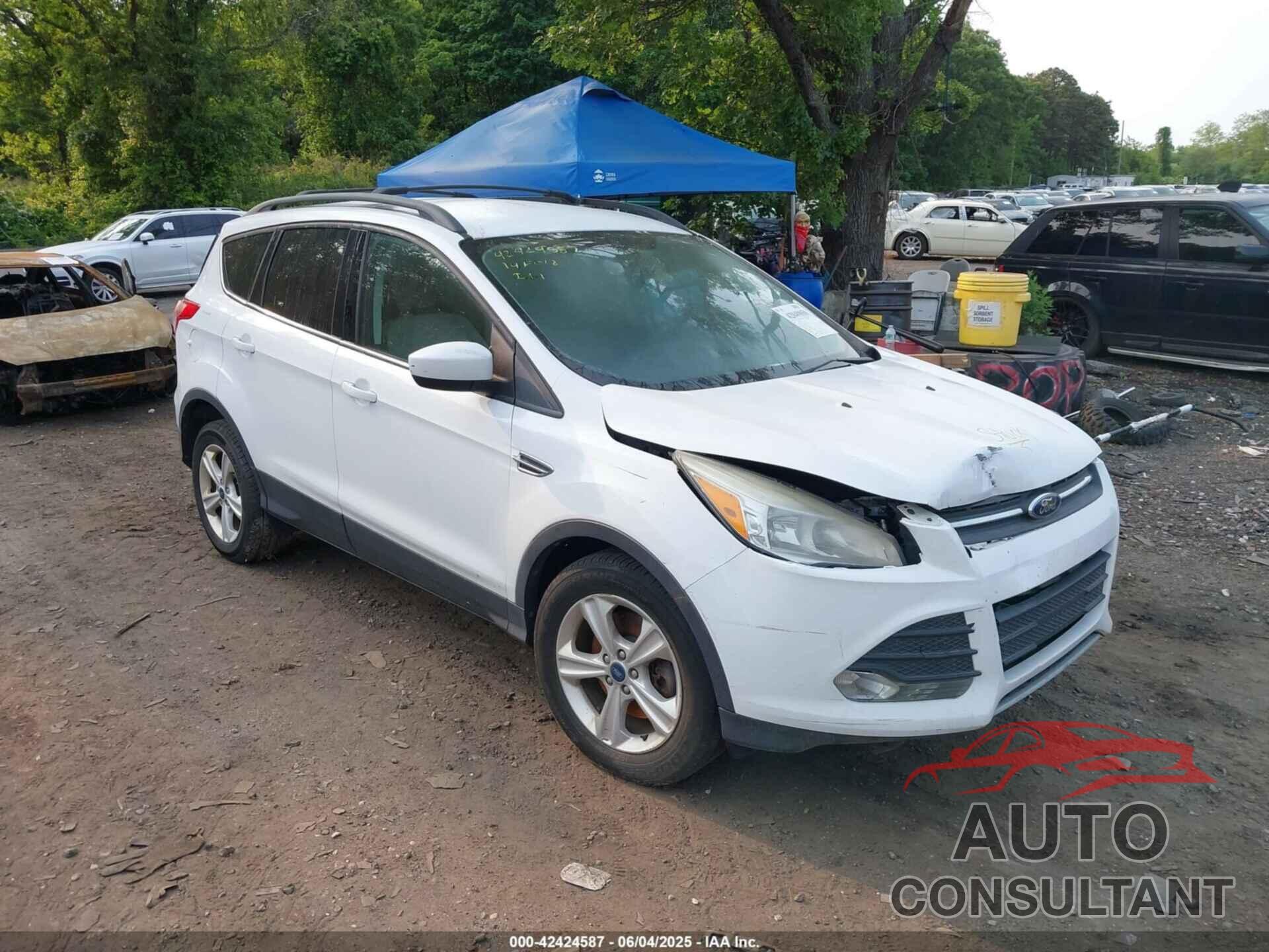 FORD ESCAPE 2014 - 1FMCU0G99EUA43351