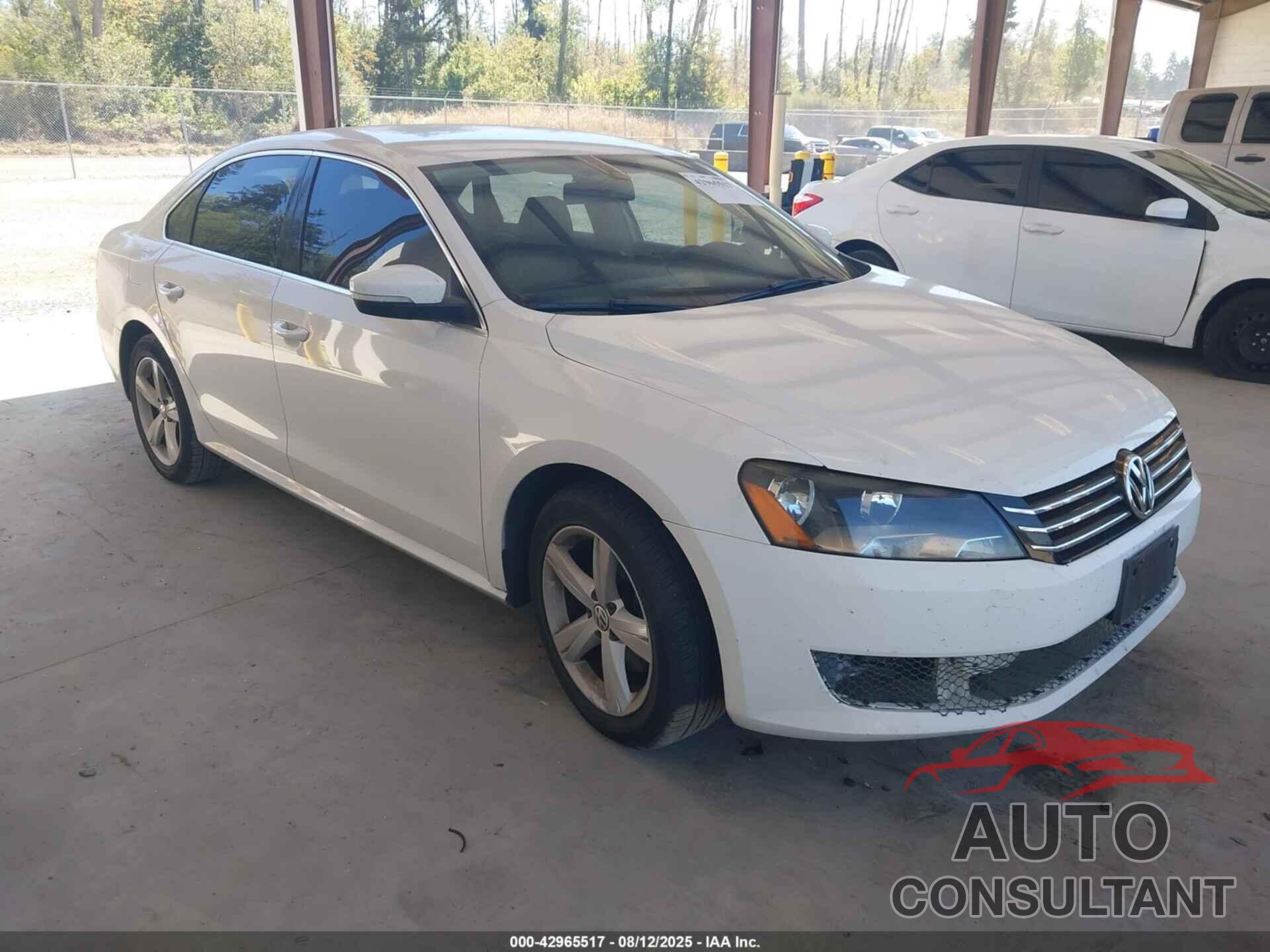 VOLKSWAGEN PASSAT 2013 - 1VWBP7A37DC103164