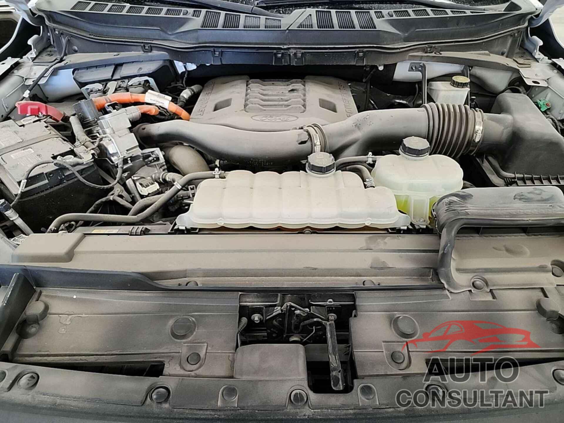 FORD F-150 2022 - 1FTFW1ED1NFC41404