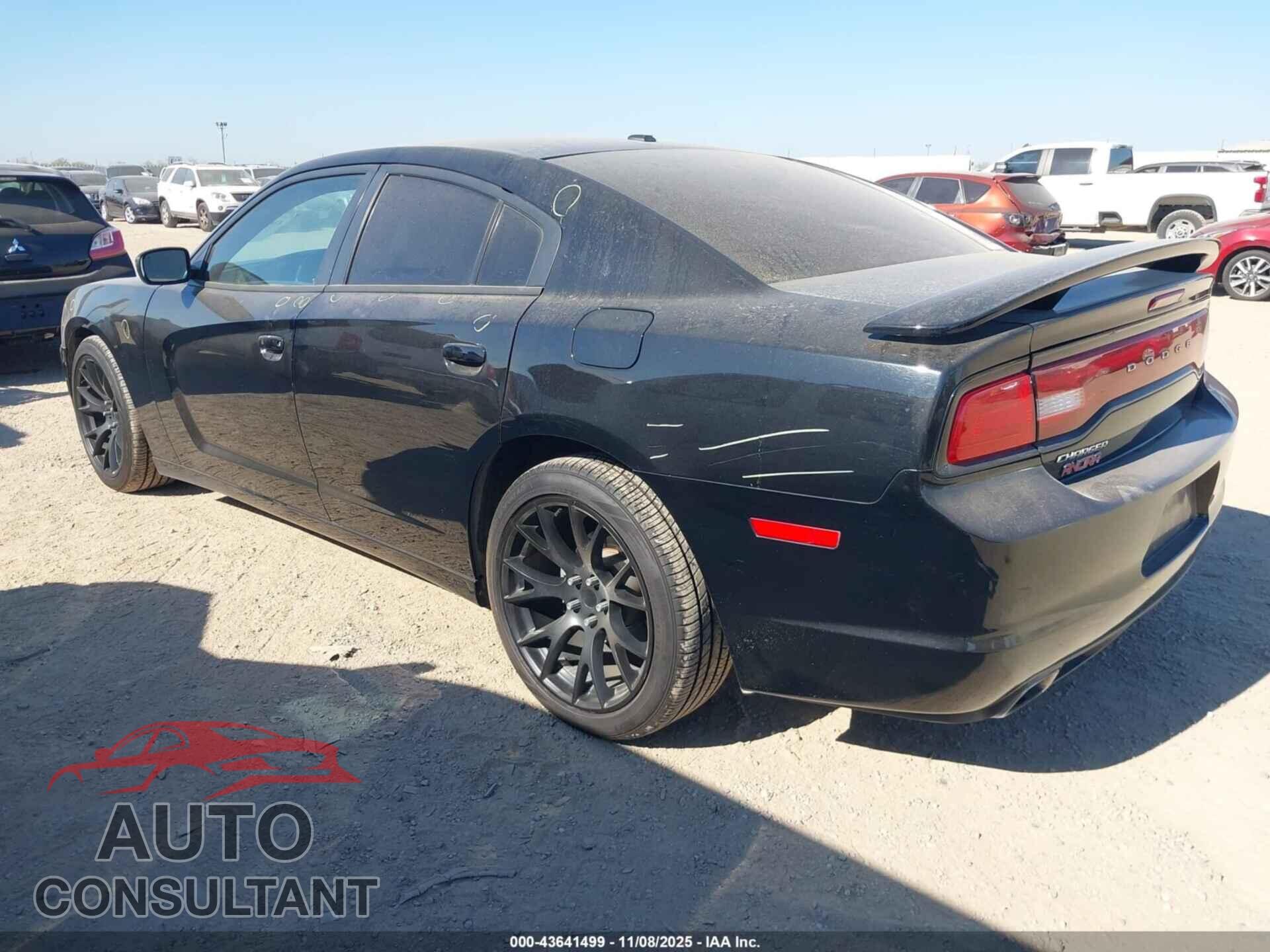 DODGE CHARGER 2014 - 2C3CDXHG3EH339094