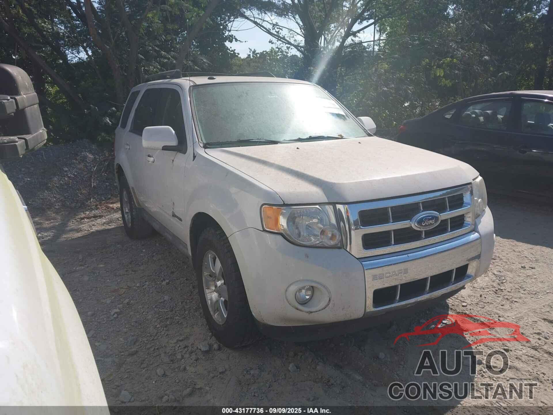 FORD ESCAPE HYBRID 2009 - 1FMCU49309KB14521