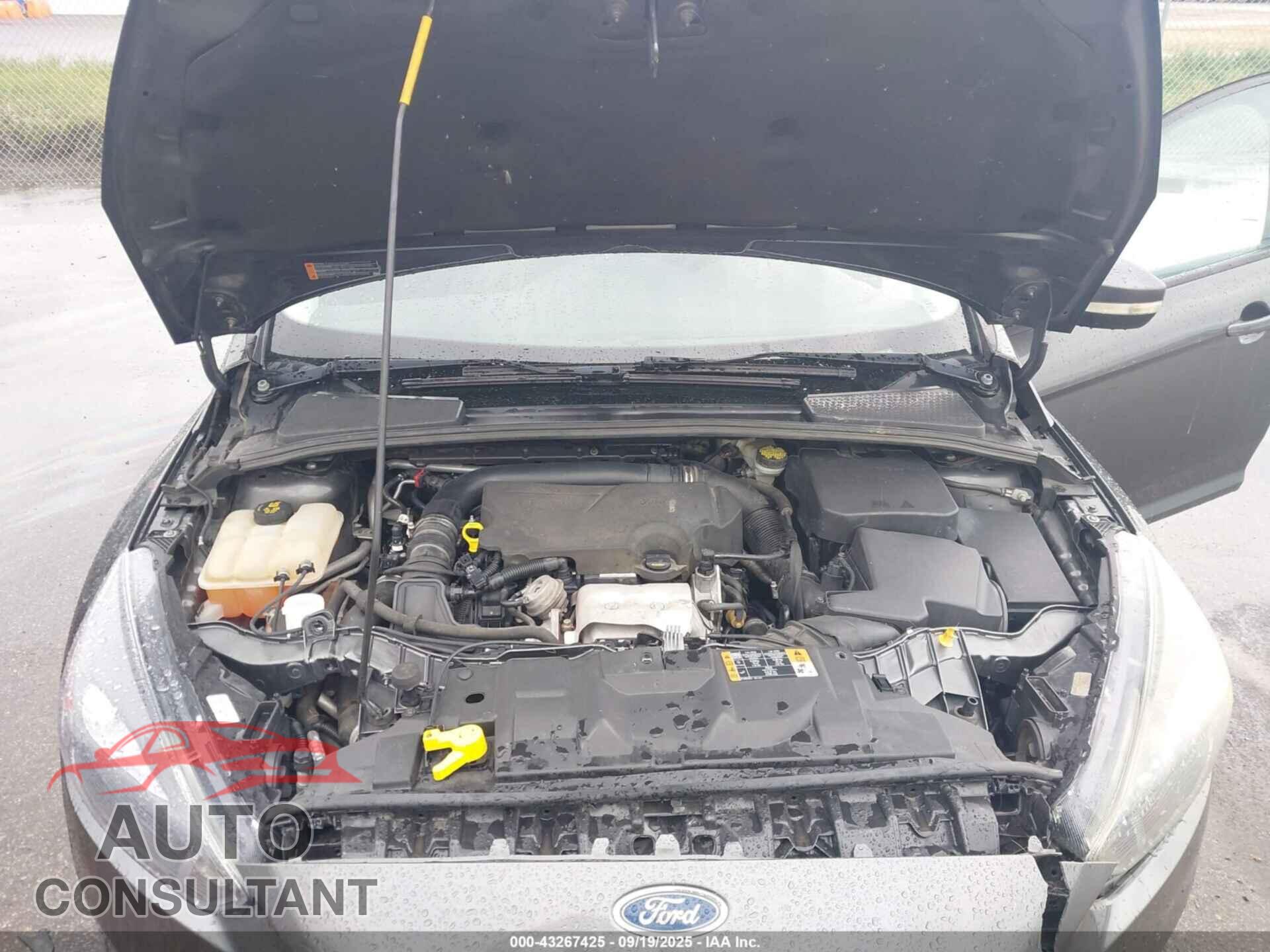 FORD FOCUS 2016 - 1FADP3FE5GL262869