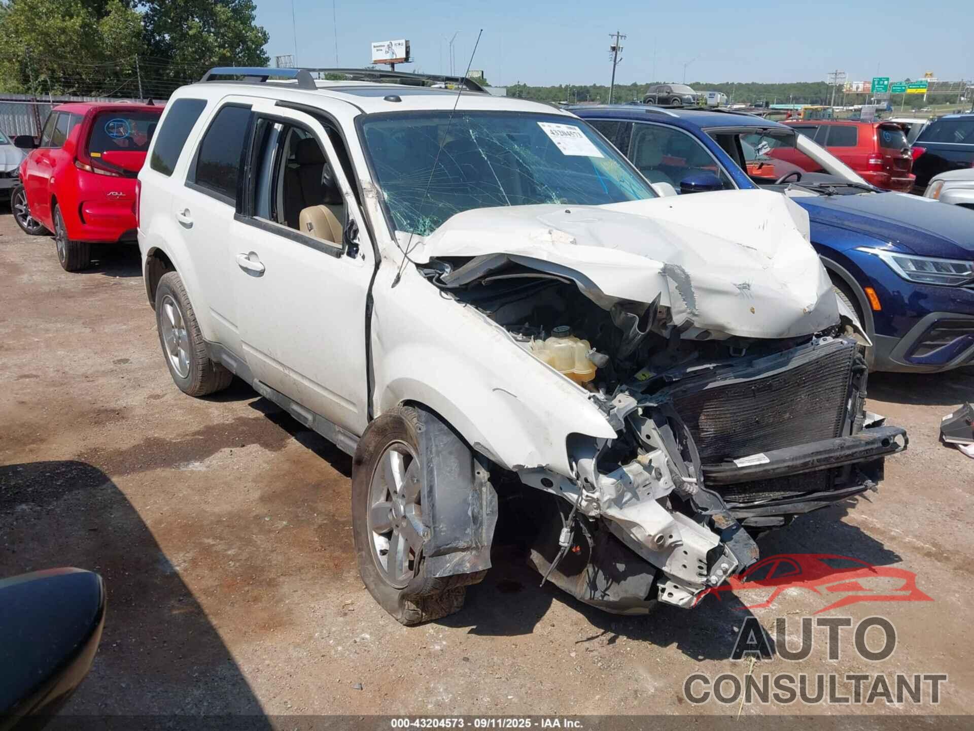 FORD ESCAPE 2010 - 1FMCU0EG0AKB63479