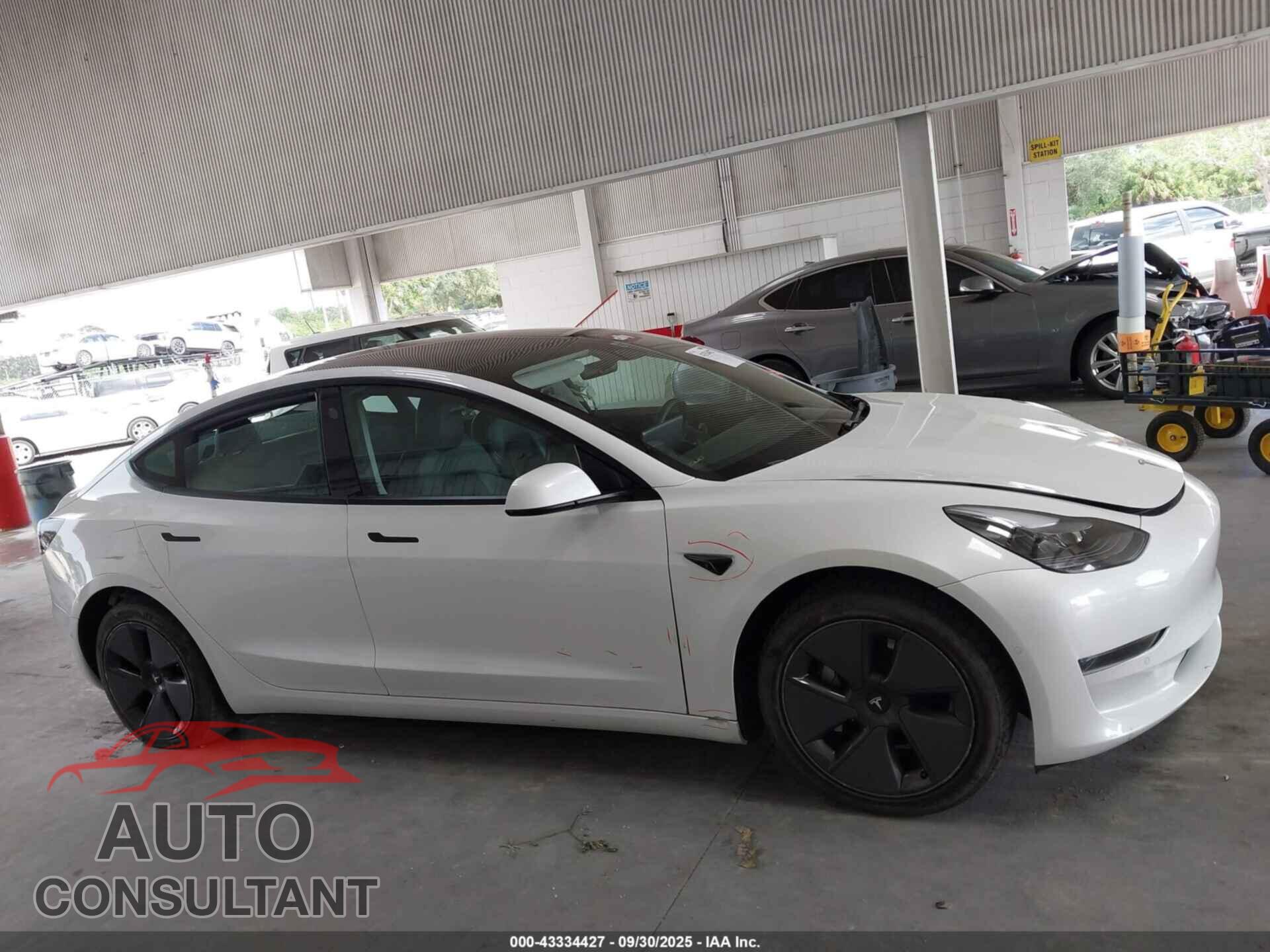 TESLA MODEL 3 2021 - 5YJ3E1EA2MF850581