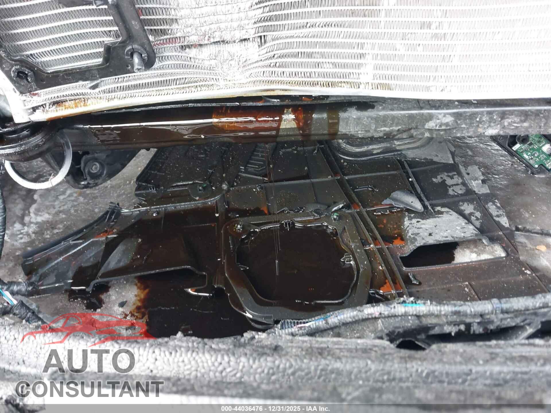 HYUNDAI TUCSON 2024 - 5NMJECDE8RH395491