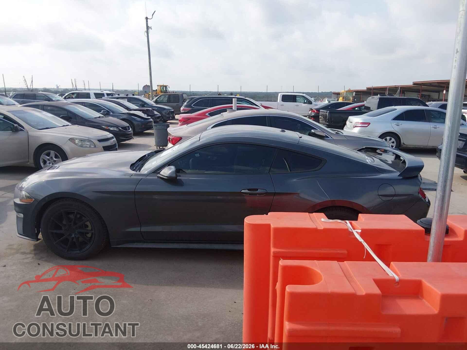 FORD MUSTANG 2019 - 1FA6P8TH5K5185485