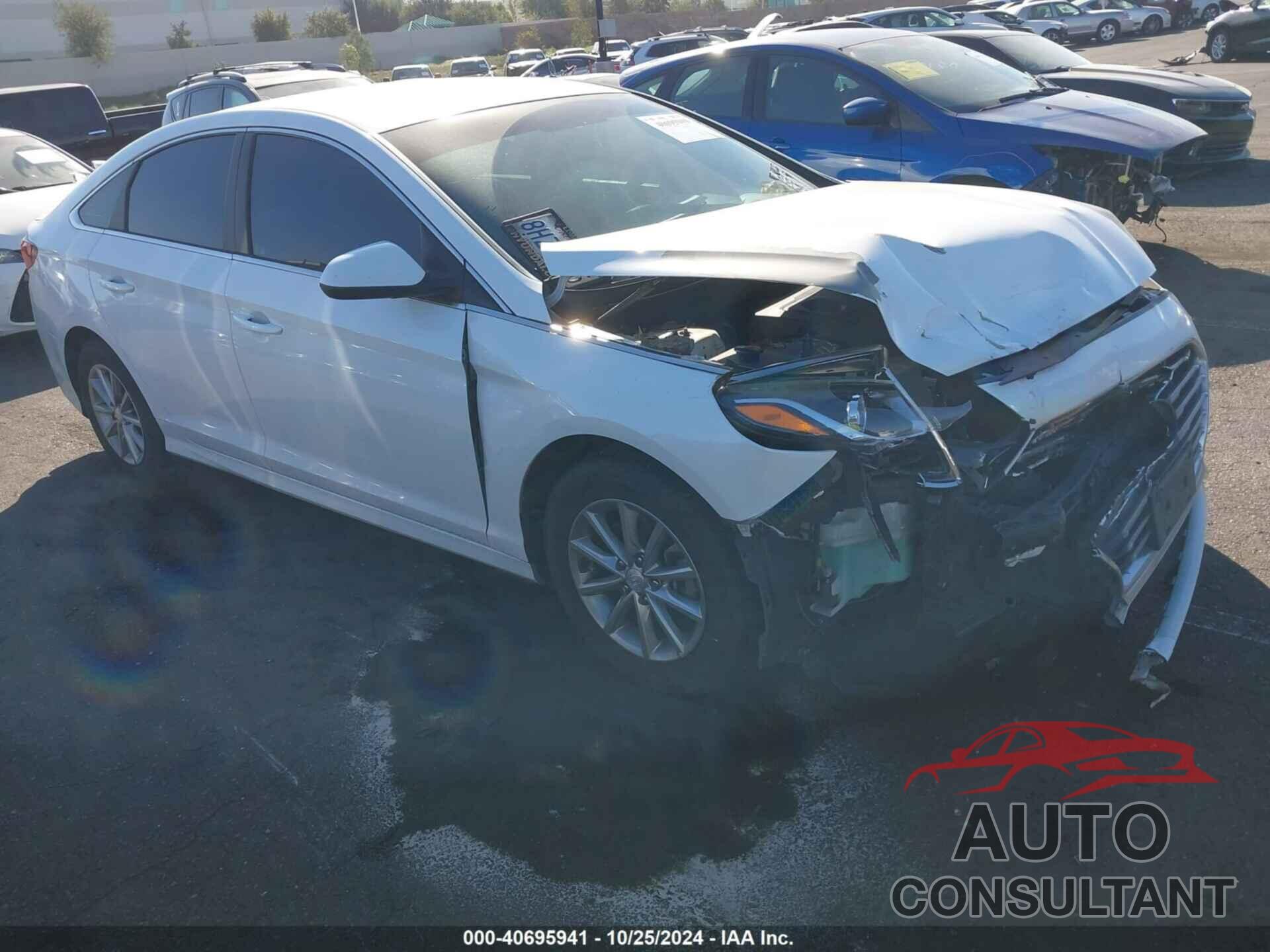 HYUNDAI SONATA 2019 - 5NPE24AF1KH734713