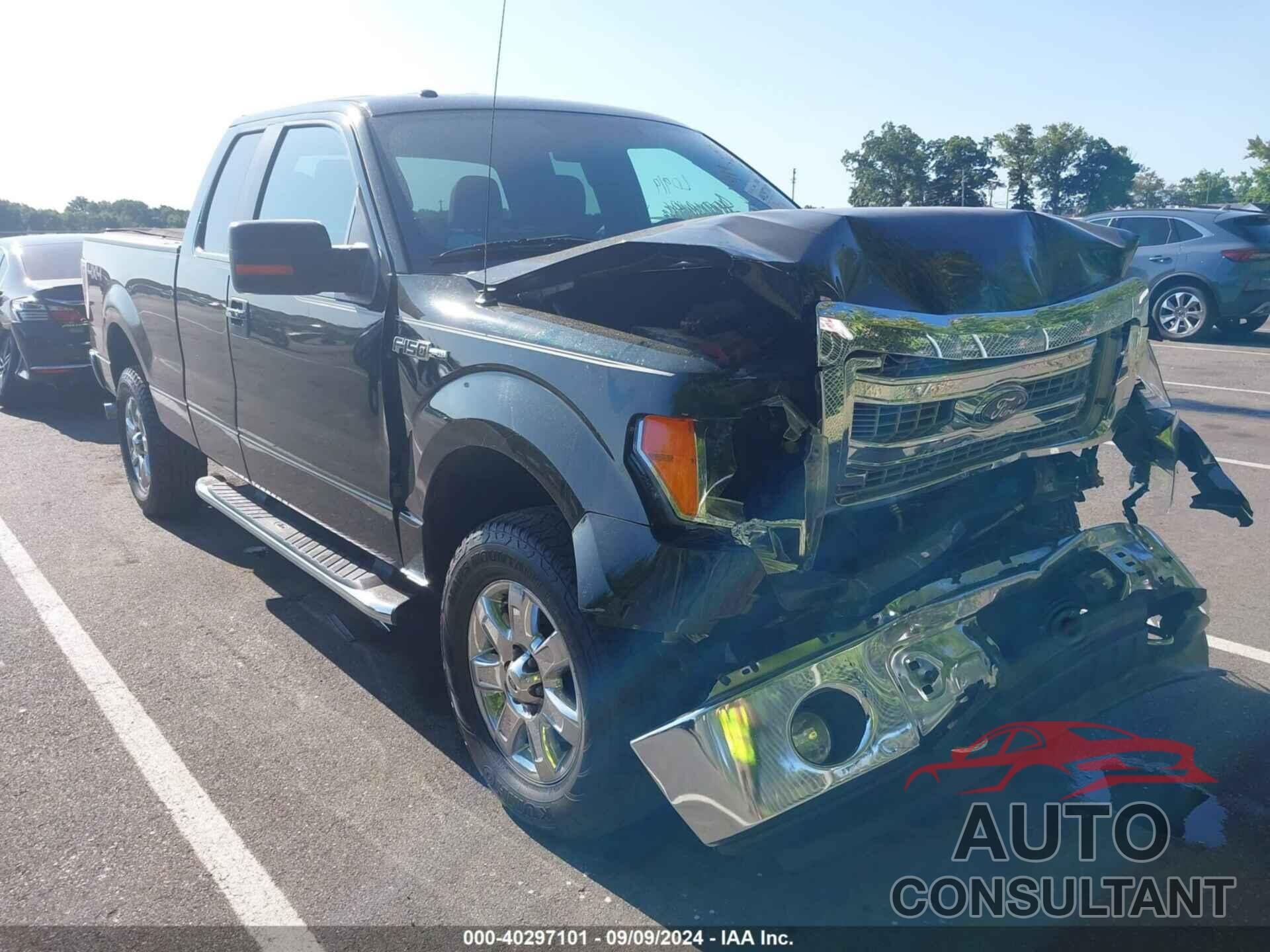 FORD F-150 2013 - 1FTFX1EFXDFC33301