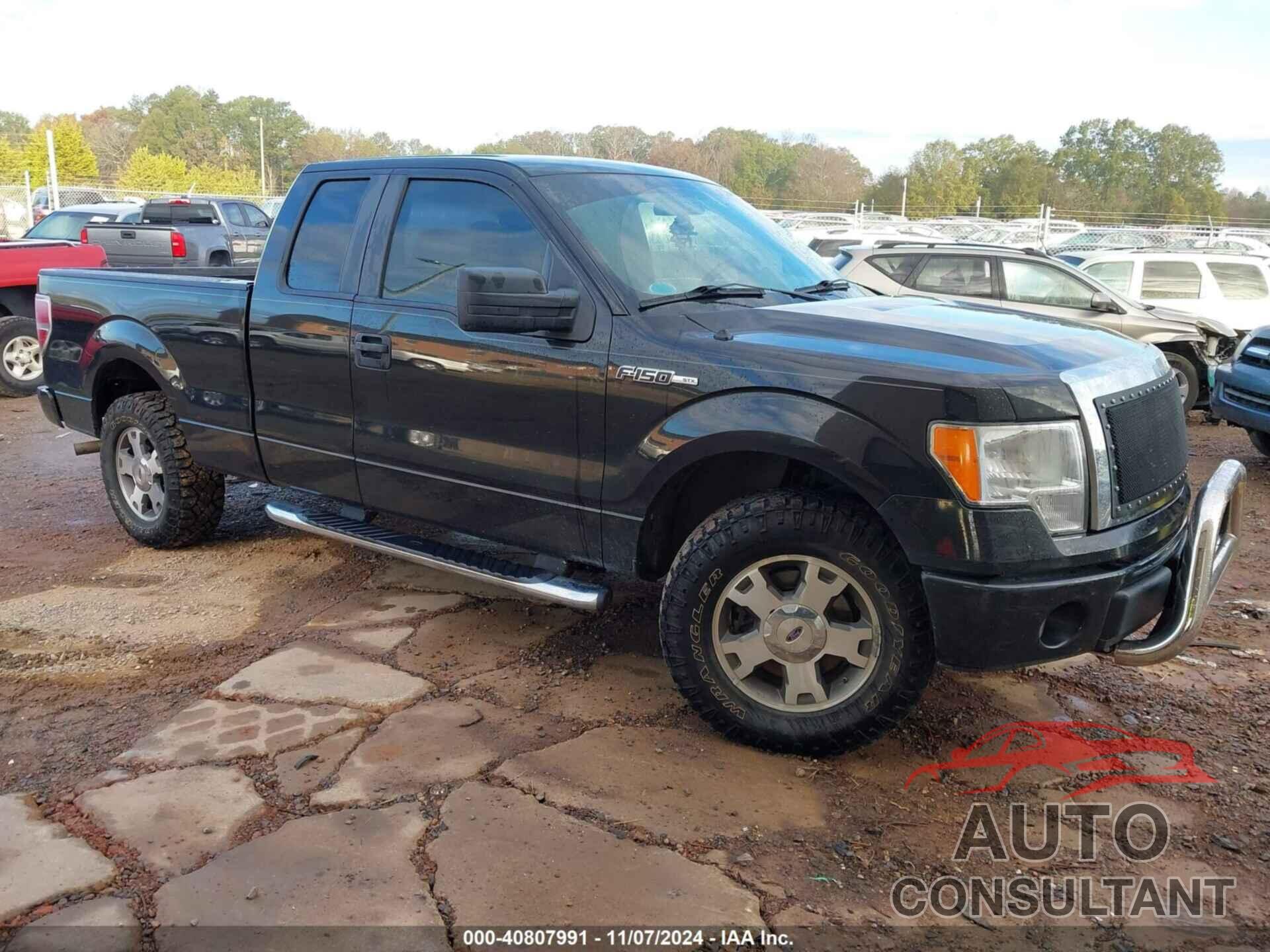 FORD F-150 2010 - 1FTEX1CWXAFA48966