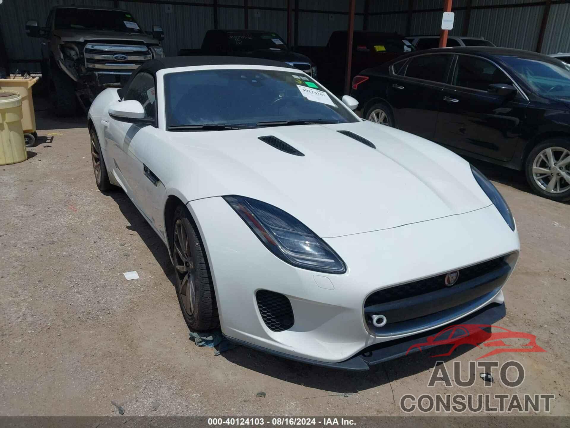 JAGUAR F-TYPE 2019 - SAJDD5EV8KCK61483