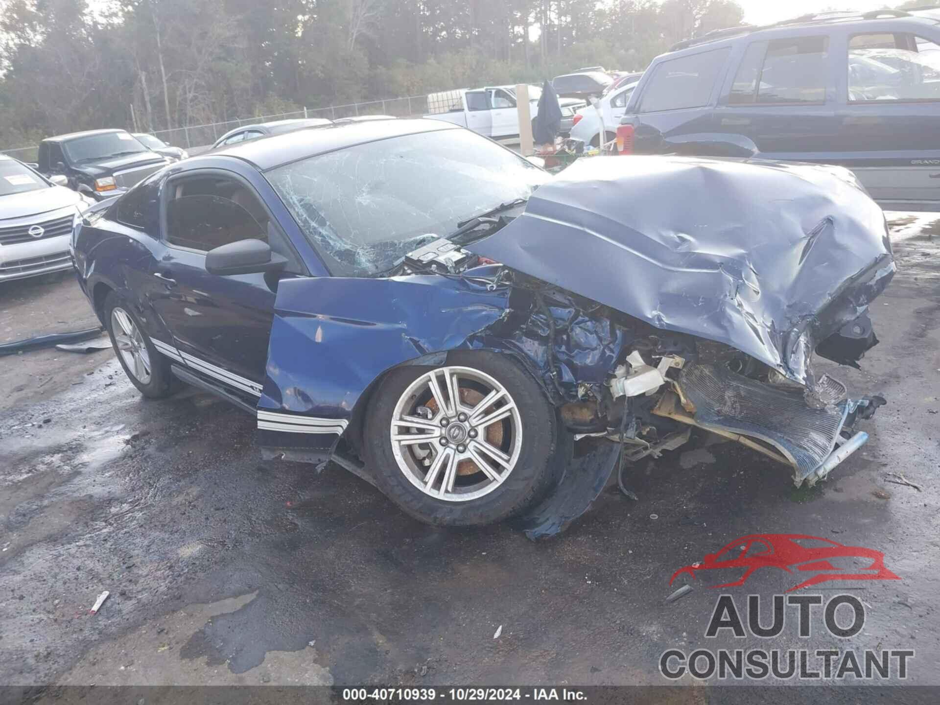 FORD MUSTANG 2011 - 1ZVBP8AM8B5120765