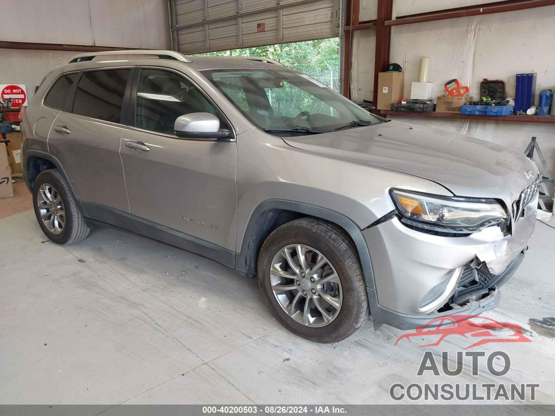 JEEP CHEROKEE 2019 - 1C4PJLLB1KD376857