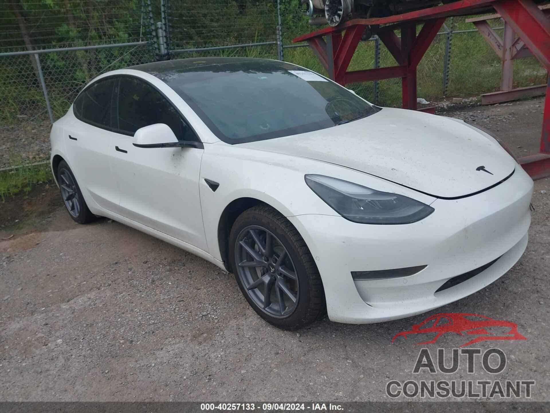 TESLA MODEL 3 2021 - 5YJ3E1EA5MF018510