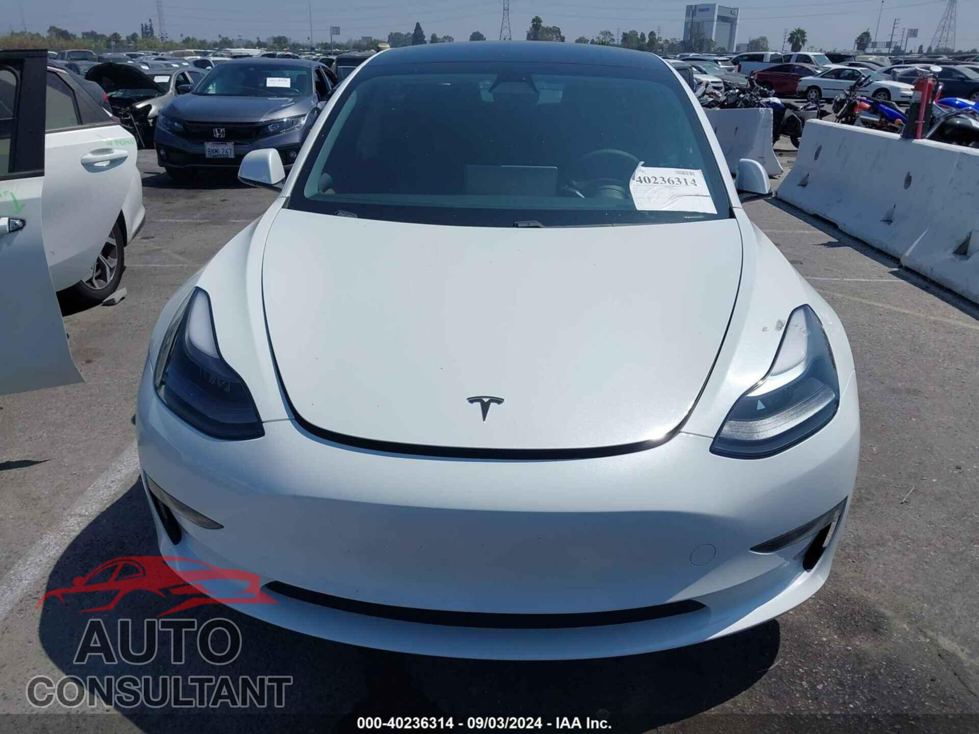 TESLA MODEL 3 2021 - 5YJ3E1EA9MF991177