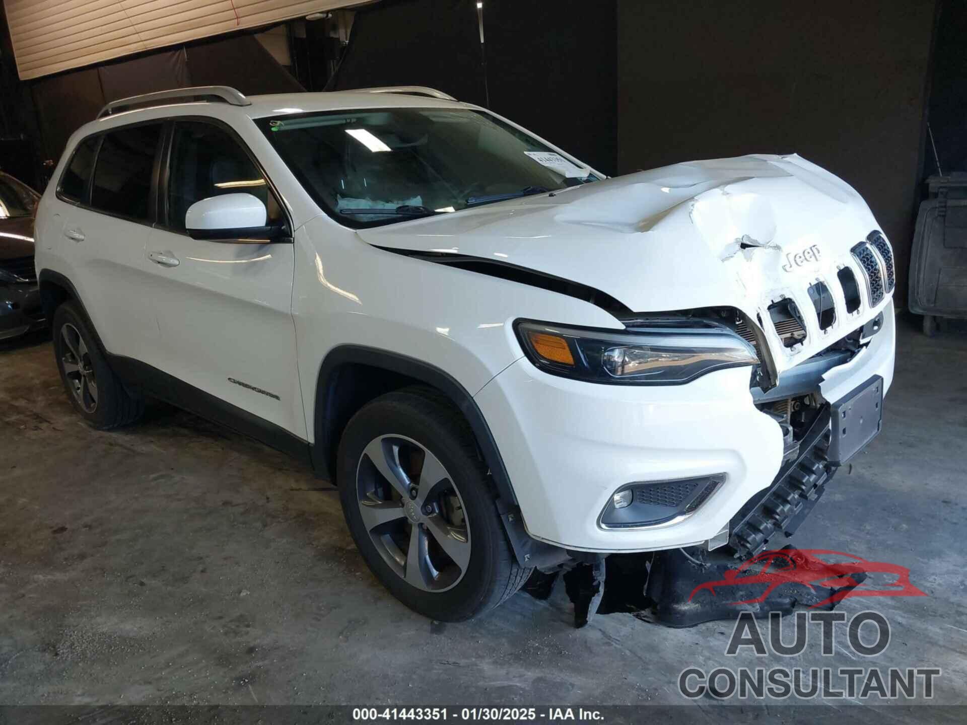 JEEP CHEROKEE 2019 - 1C4PJMDN5KD386452