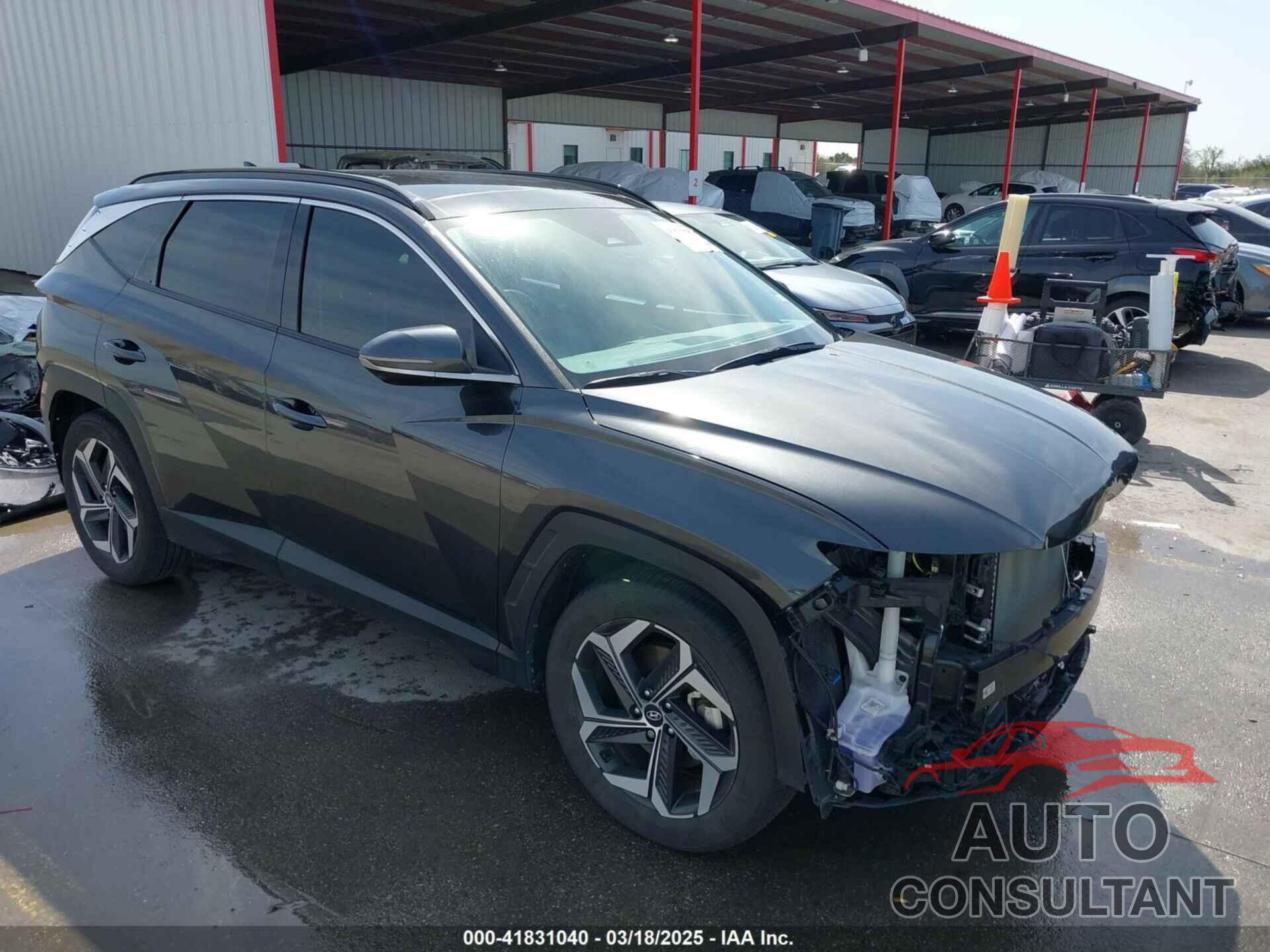 HYUNDAI TUCSON 2024 - 5NMJE3DE5RH325575