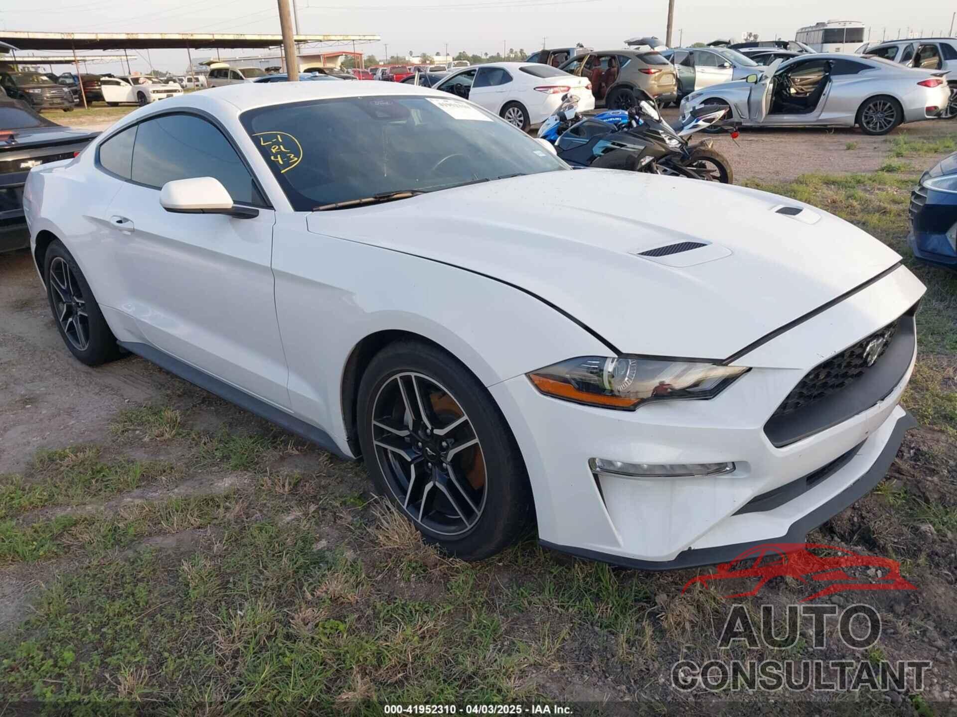 FORD MUSTANG 2021 - 1FA6P8TH2M5135131