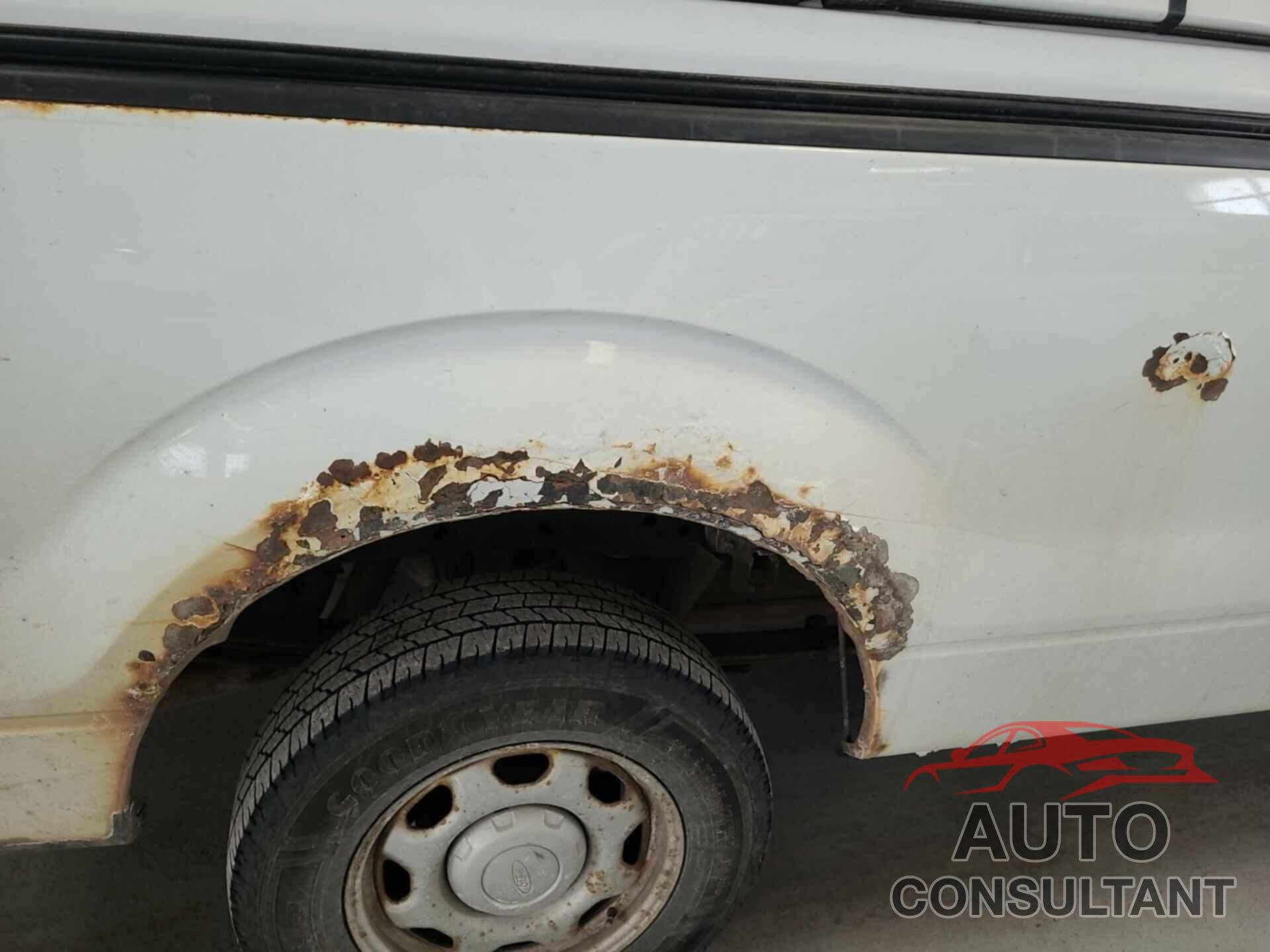FORD F150 2010 - 1FTMF1EW5AKE66161