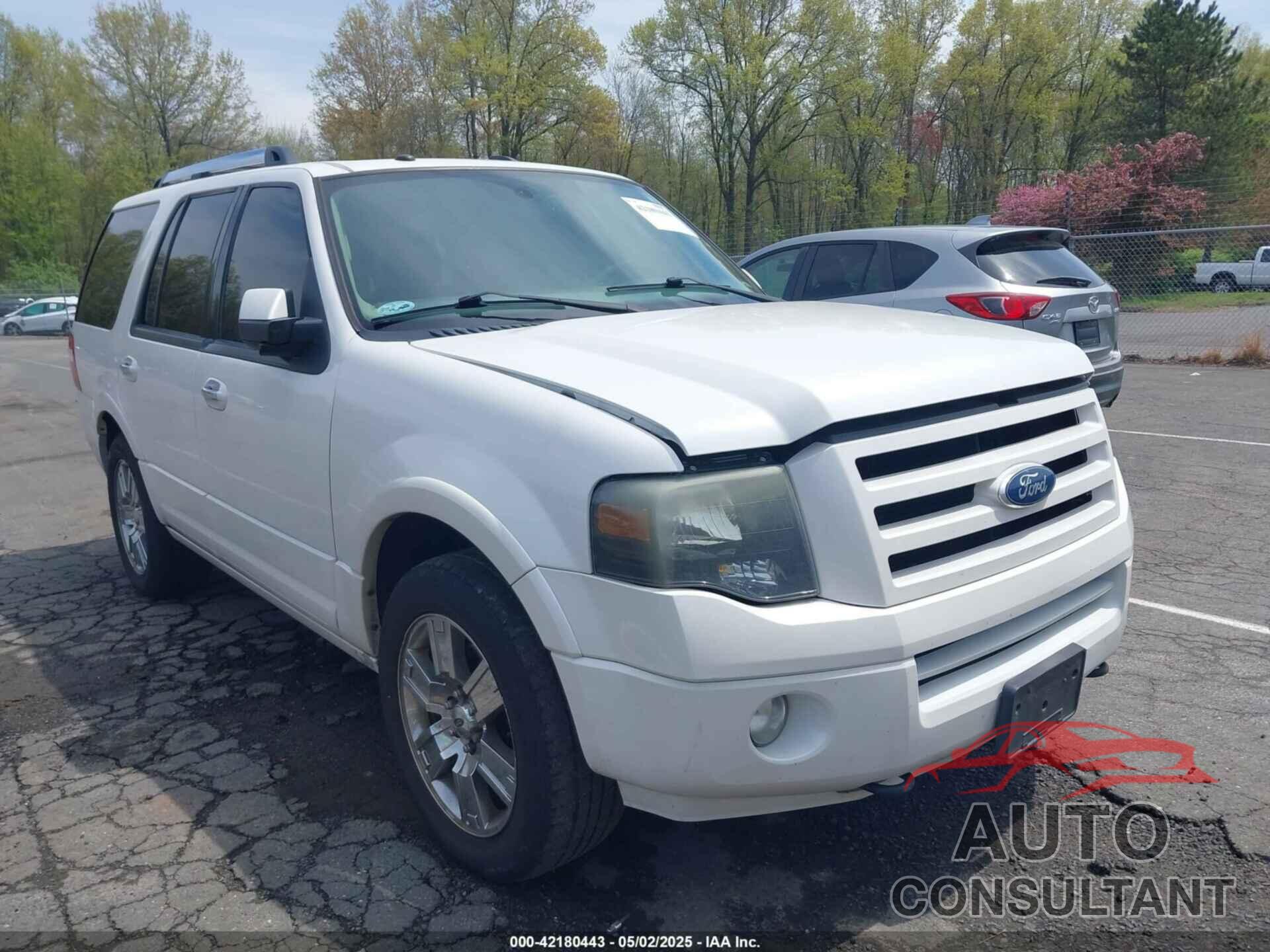FORD EXPEDITION 2010 - 1FMJU2A55AEB64245