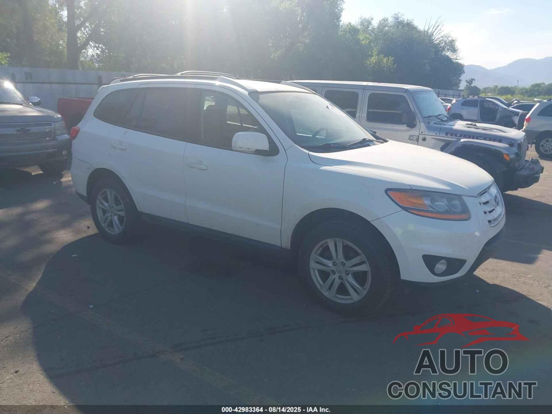 HYUNDAI SANTA FE 2010 - 5NMSHDAG8AH395387