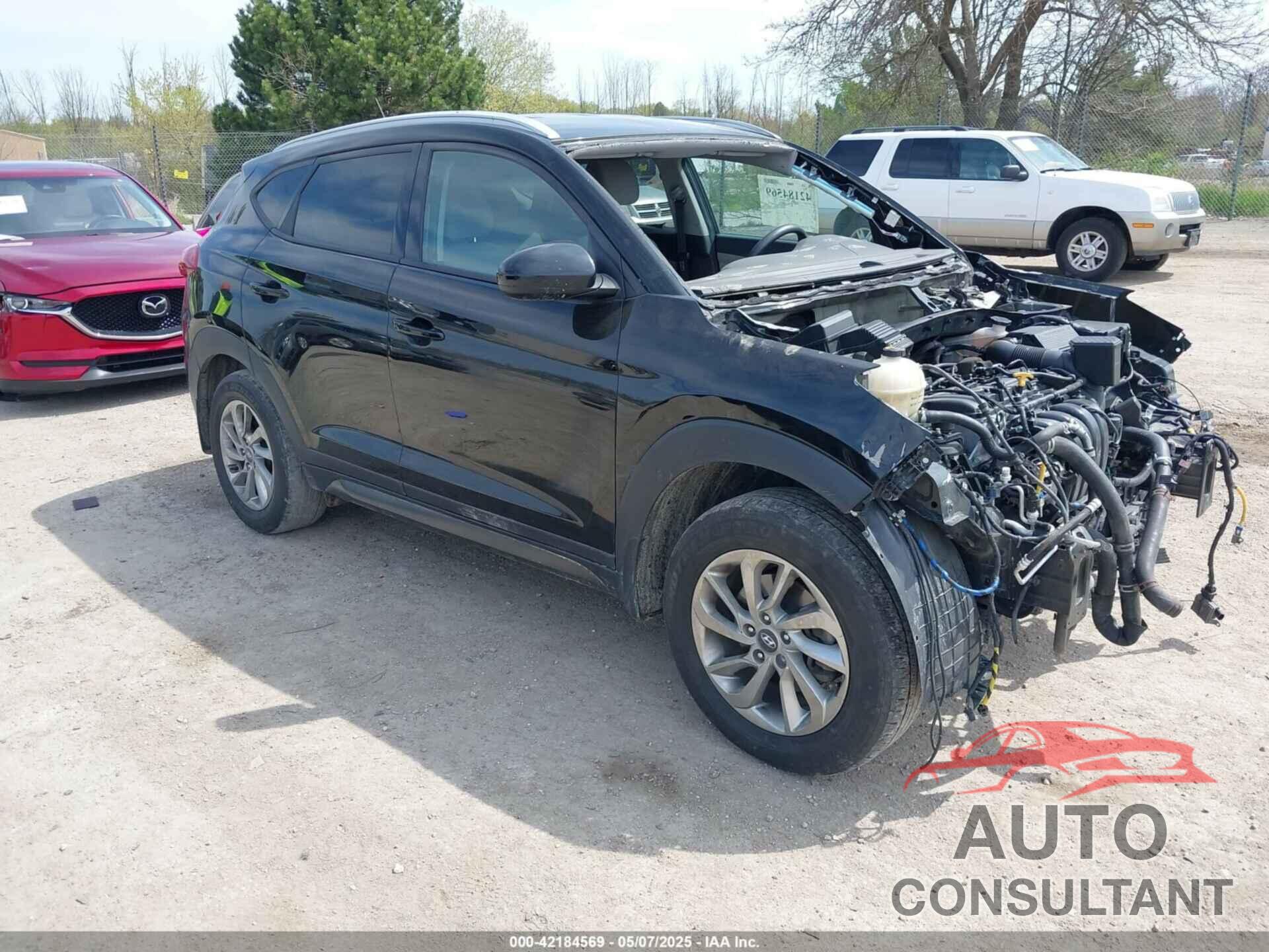 HYUNDAI TUCSON 2016 - KM8J33A4XGU149335