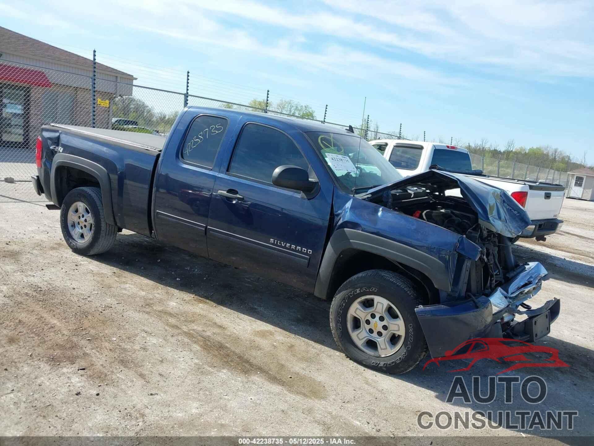 CHEVROLET SILVERADO 1500 2009 - 1GCEK290X9Z279545