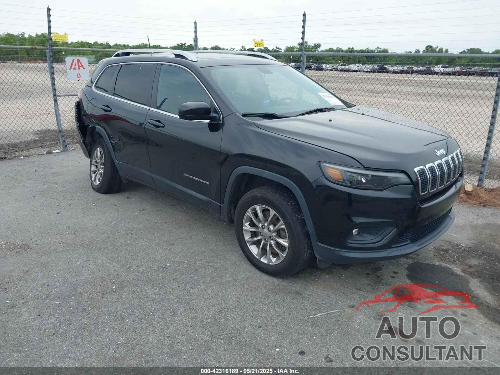 JEEP CHEROKEE 2019 - 1C4PJMLN4KD167192