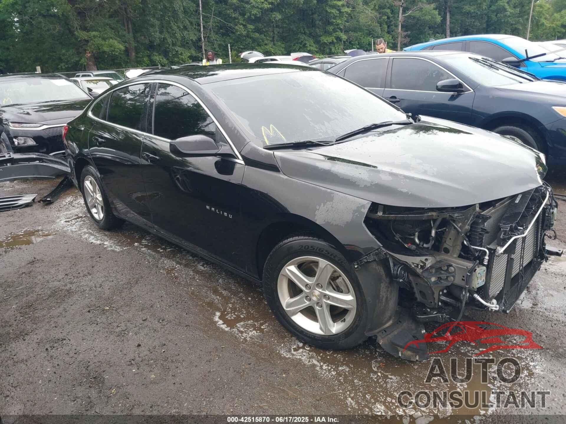 CHEVROLET MALIBU 2022 - 1G1ZD5ST7NF150989