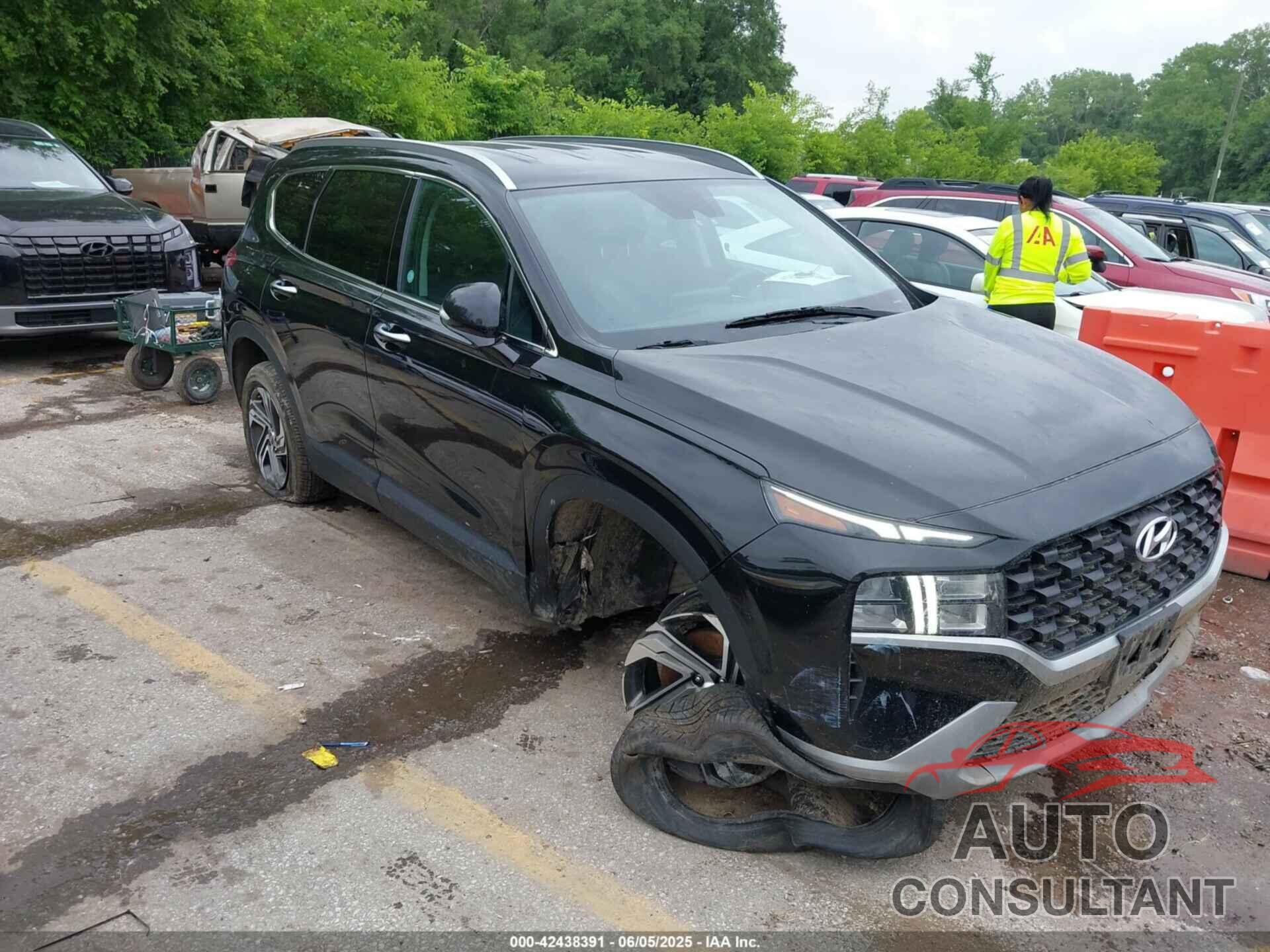 HYUNDAI SANTA FE 2023 - 5NMS2DAJ1PH543952