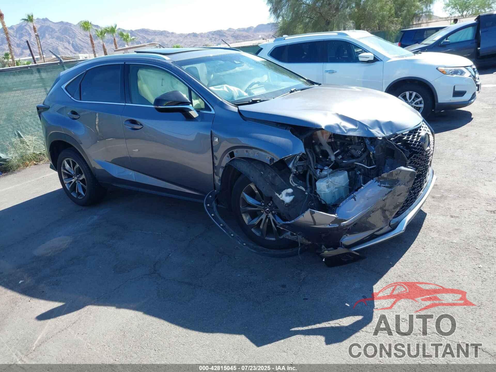 LEXUS NX 300 2019 - JTJYARBZ4K2127242