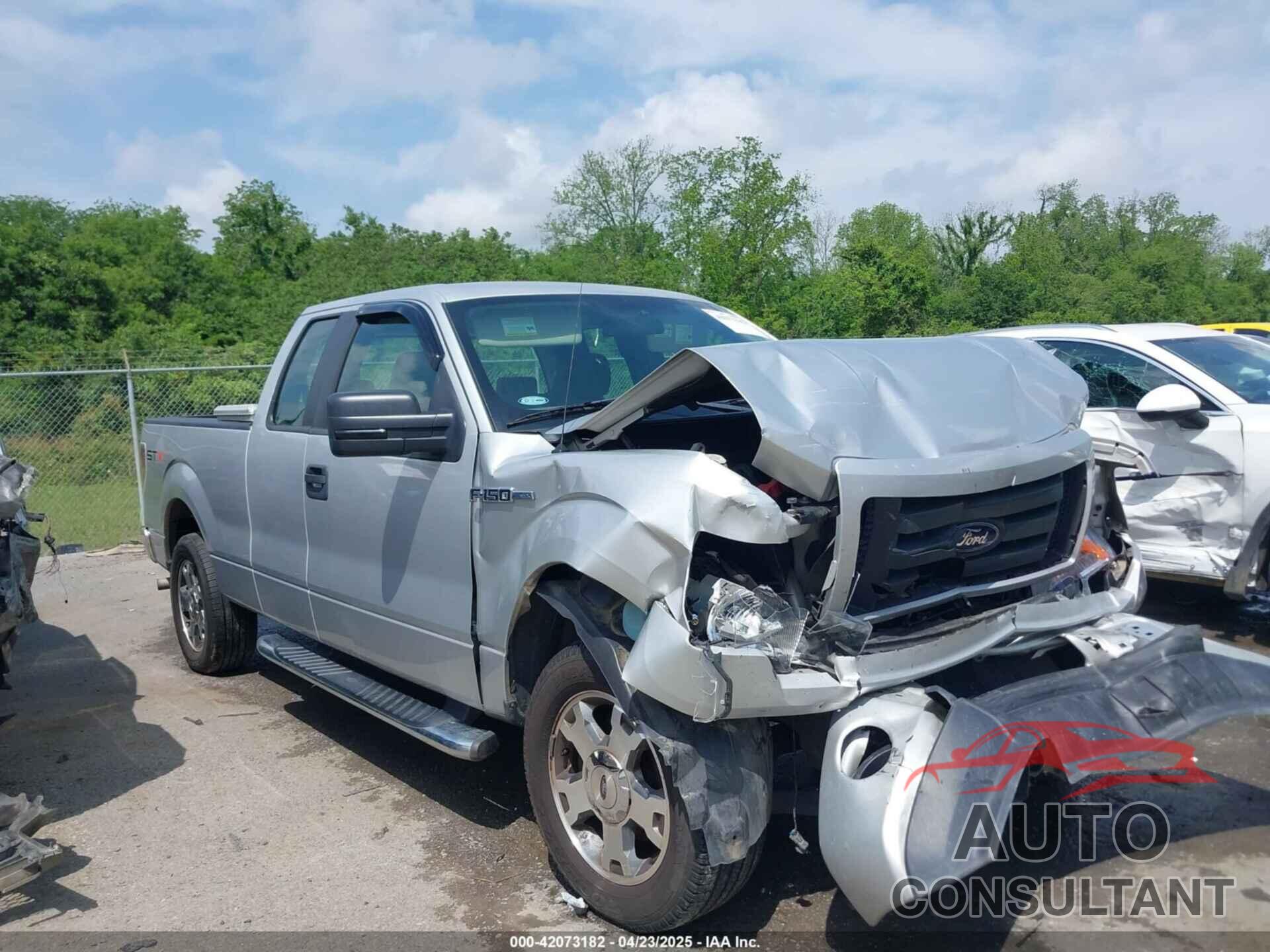 FORD F-150 2009 - 1FTRX12W59KB81818